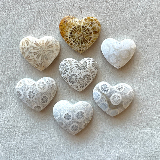 Fossilized (Fossil) Coral Heart Cabochon Smooth - Choose your Stone (W11)