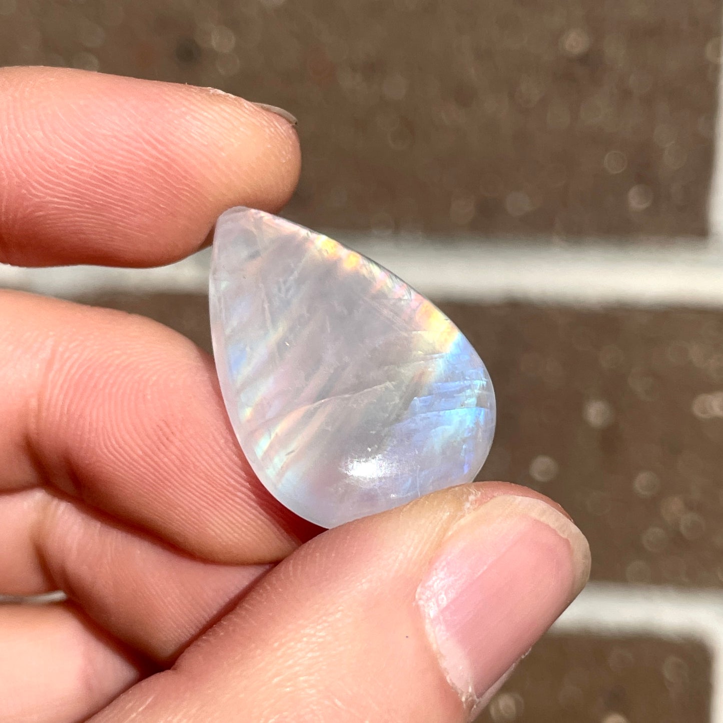Rainbow Moonstone Teardrop Cabochon (D) W3