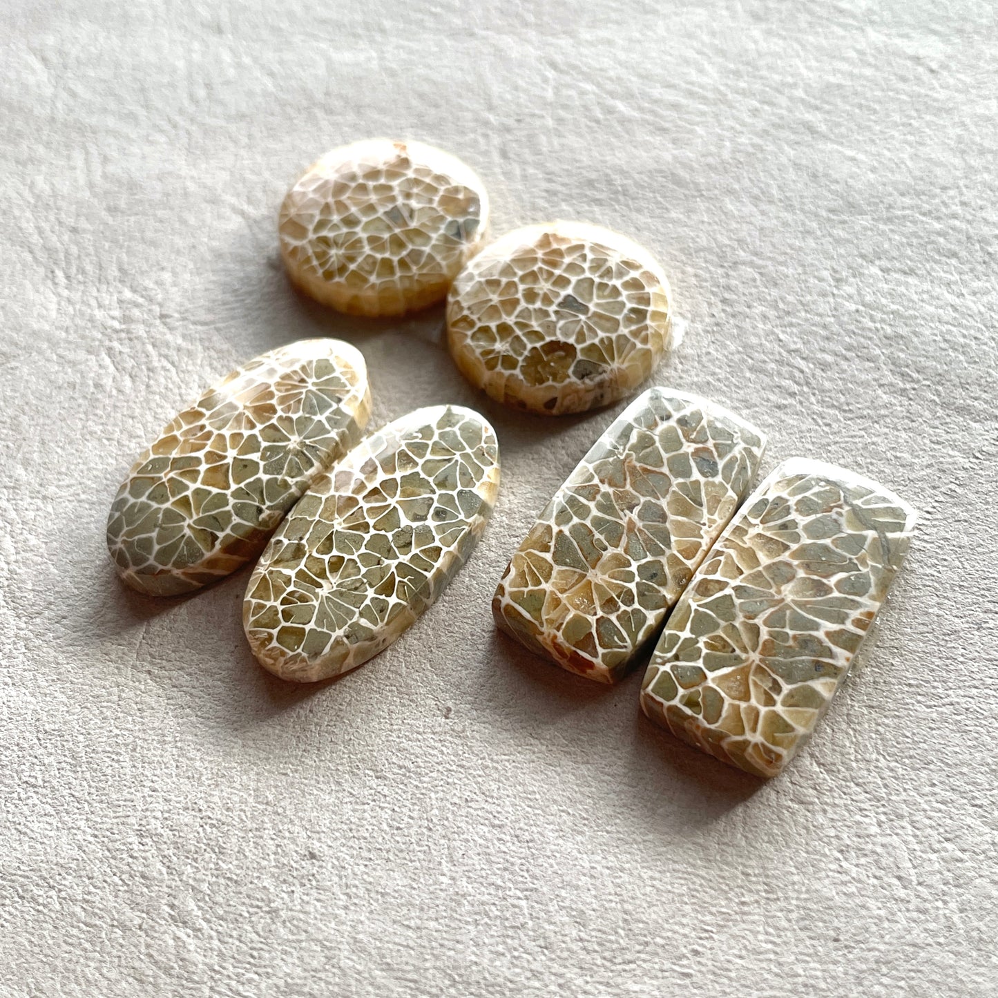 17-25mm Honeycomb Fossil Coral Cabochon Pairs - Choose your Pair (W5)