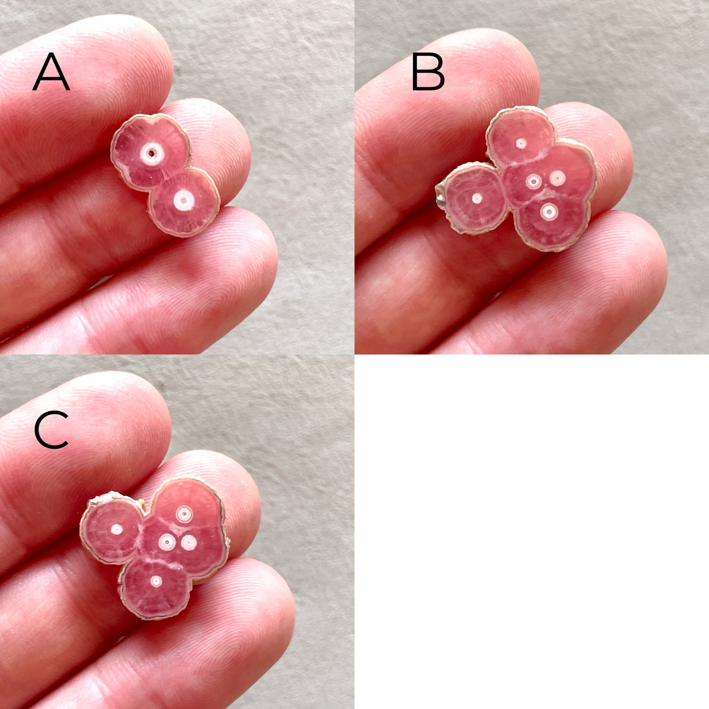 Argentina Rhodochrosite Stalactite Slice/Cabochon Polished - Choose your Slice (W9)