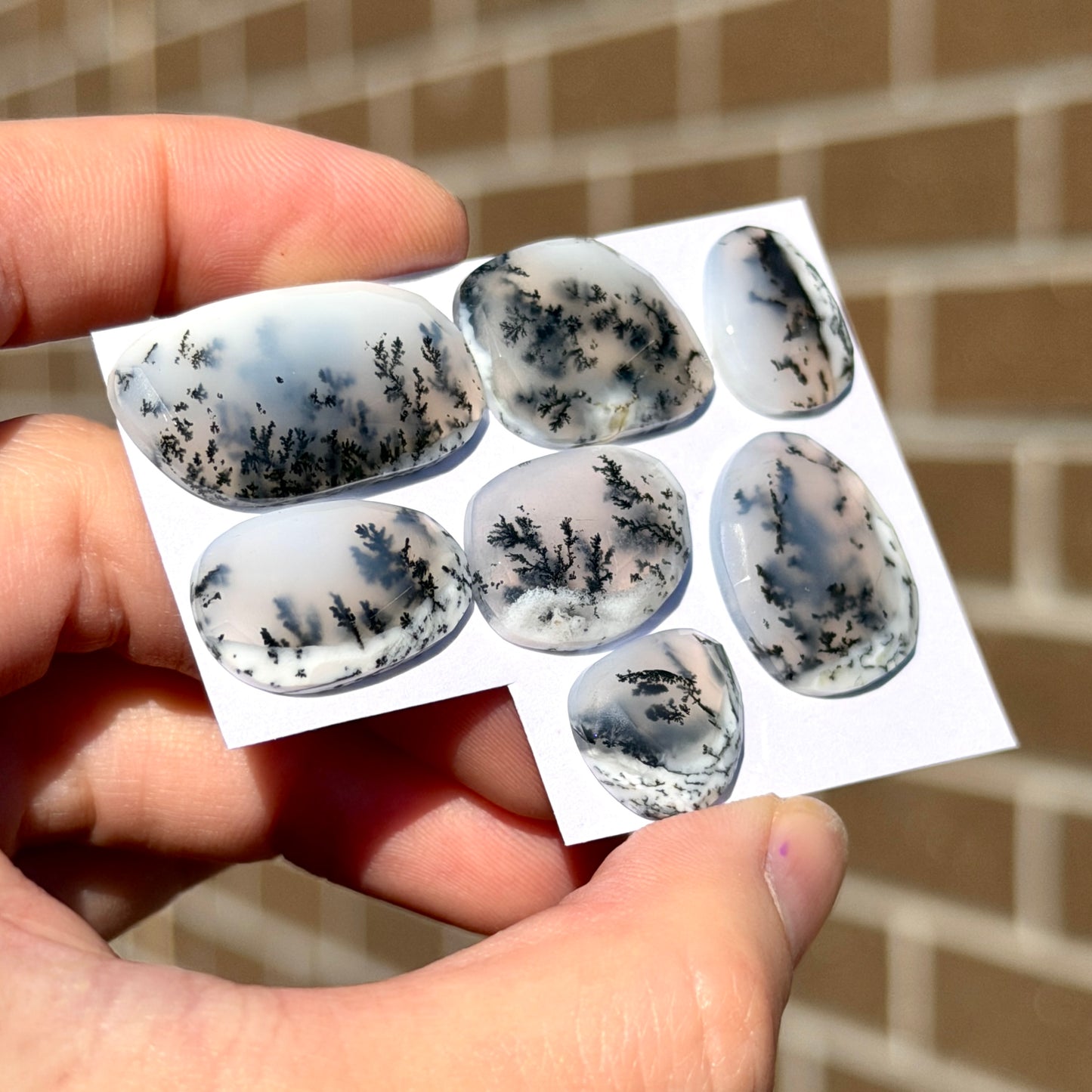 ‘Scenic’ Dendritic Opal Agate Cabochon Rose cut - Choose your Stone (W2)
