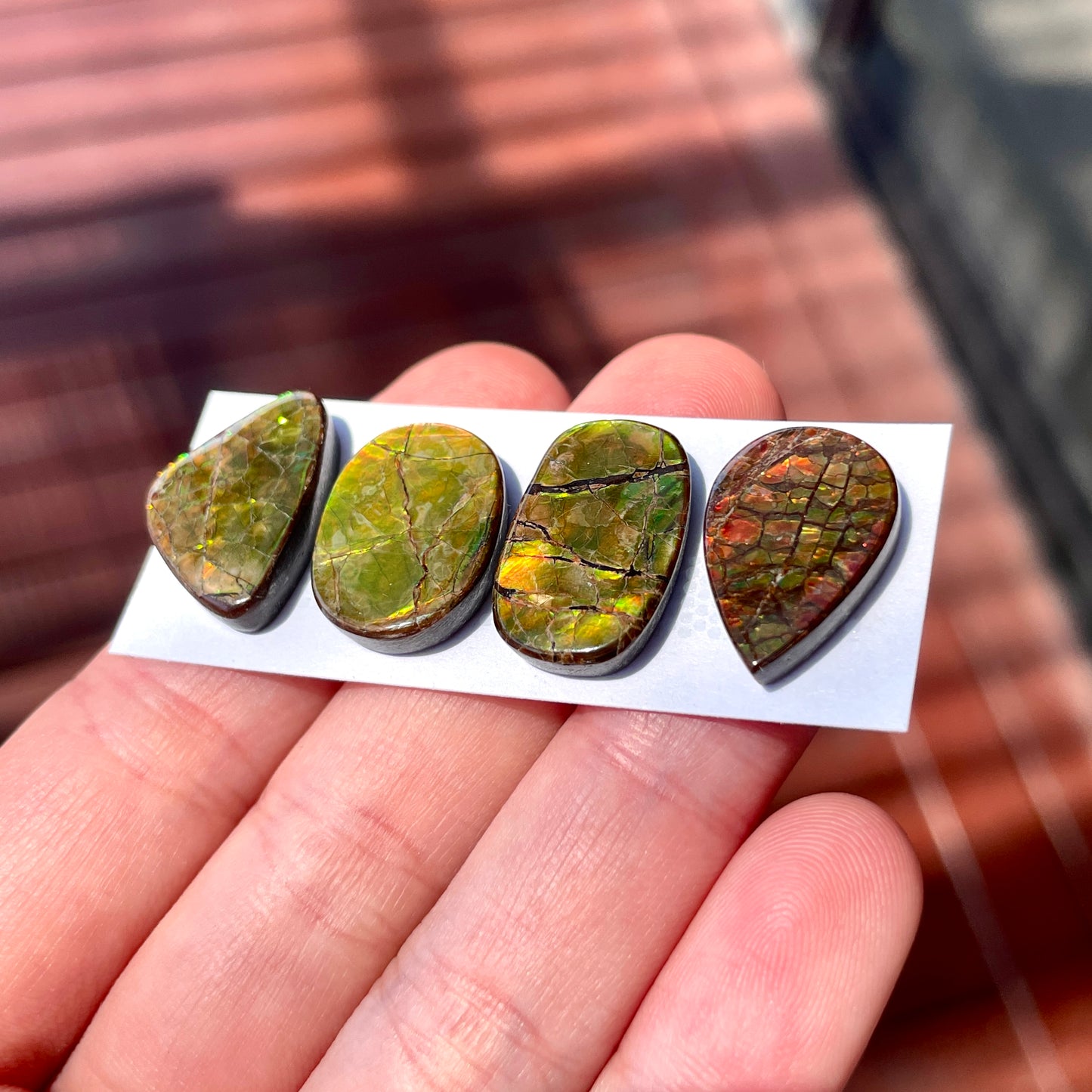 17-18mm Canadian Ammolite Cabochon Smooth - Choose your Stone (W5)