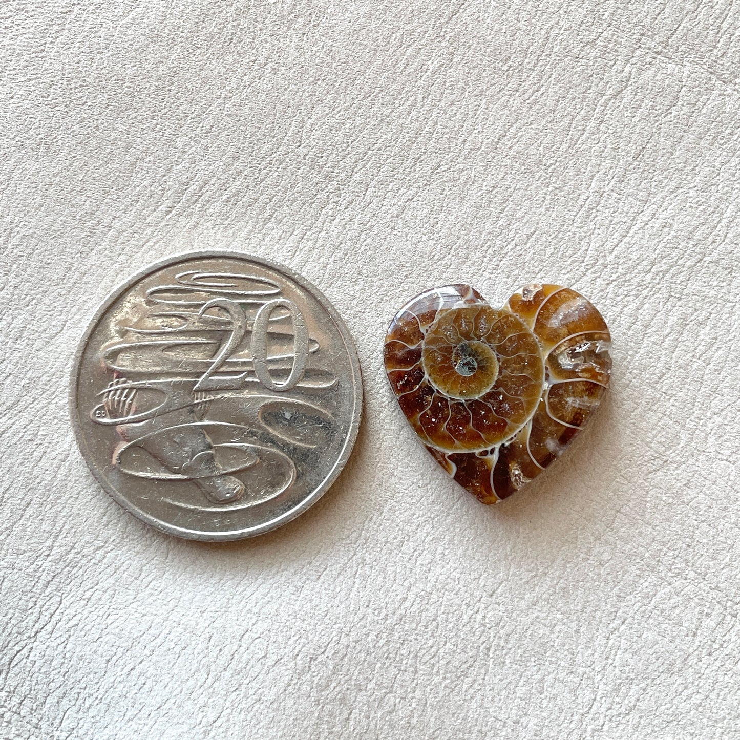 Ammonite Fossil Heart Cabochon