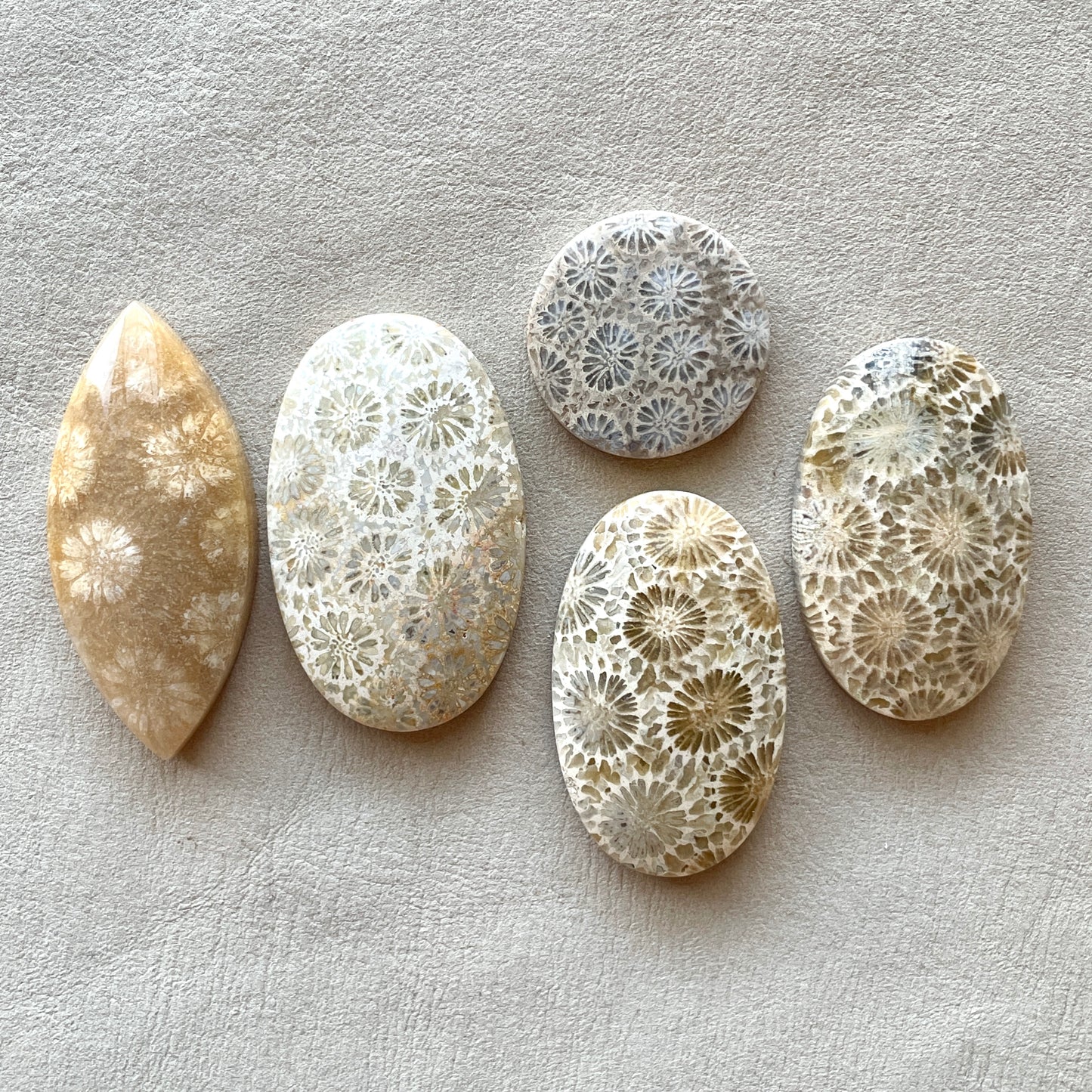 Fossil Coral Cabochon Smooth - Choose your Stone (A-W7)