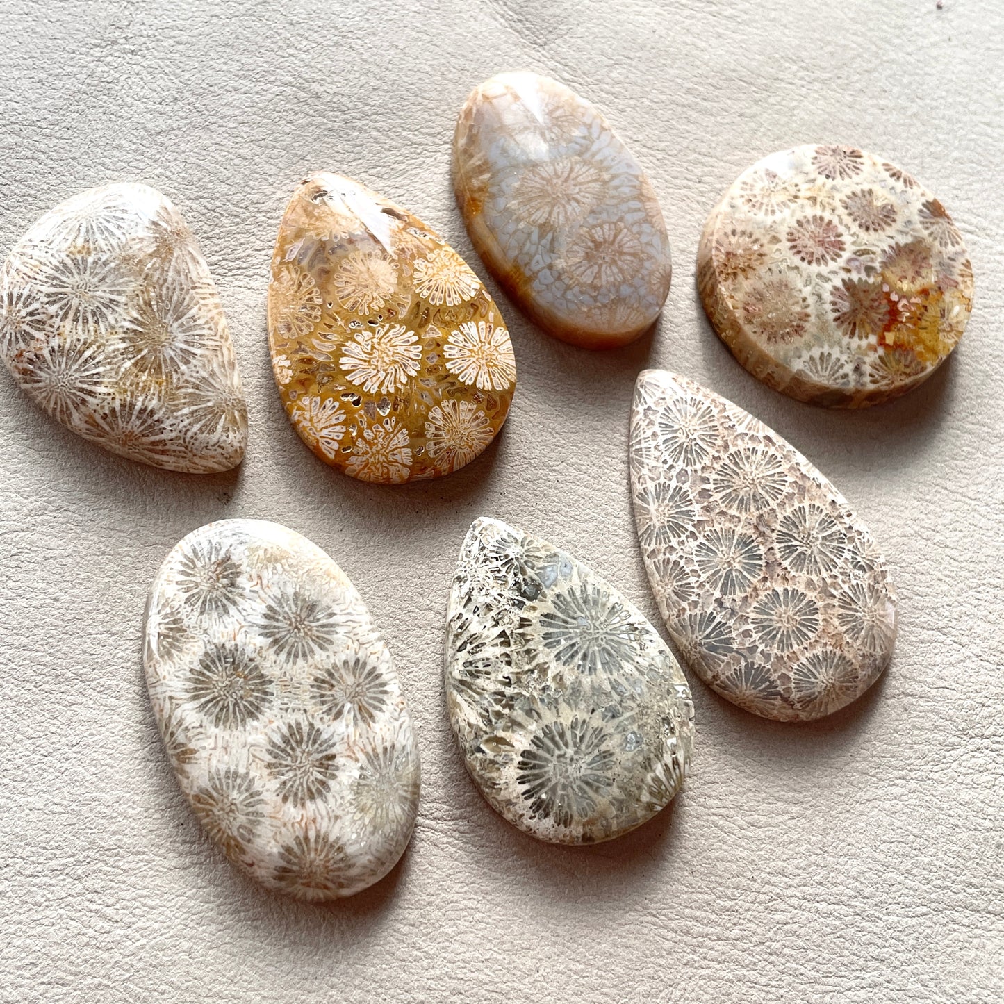 Fossil Coral Cabochon Smooth - Choose your Stone (W8)