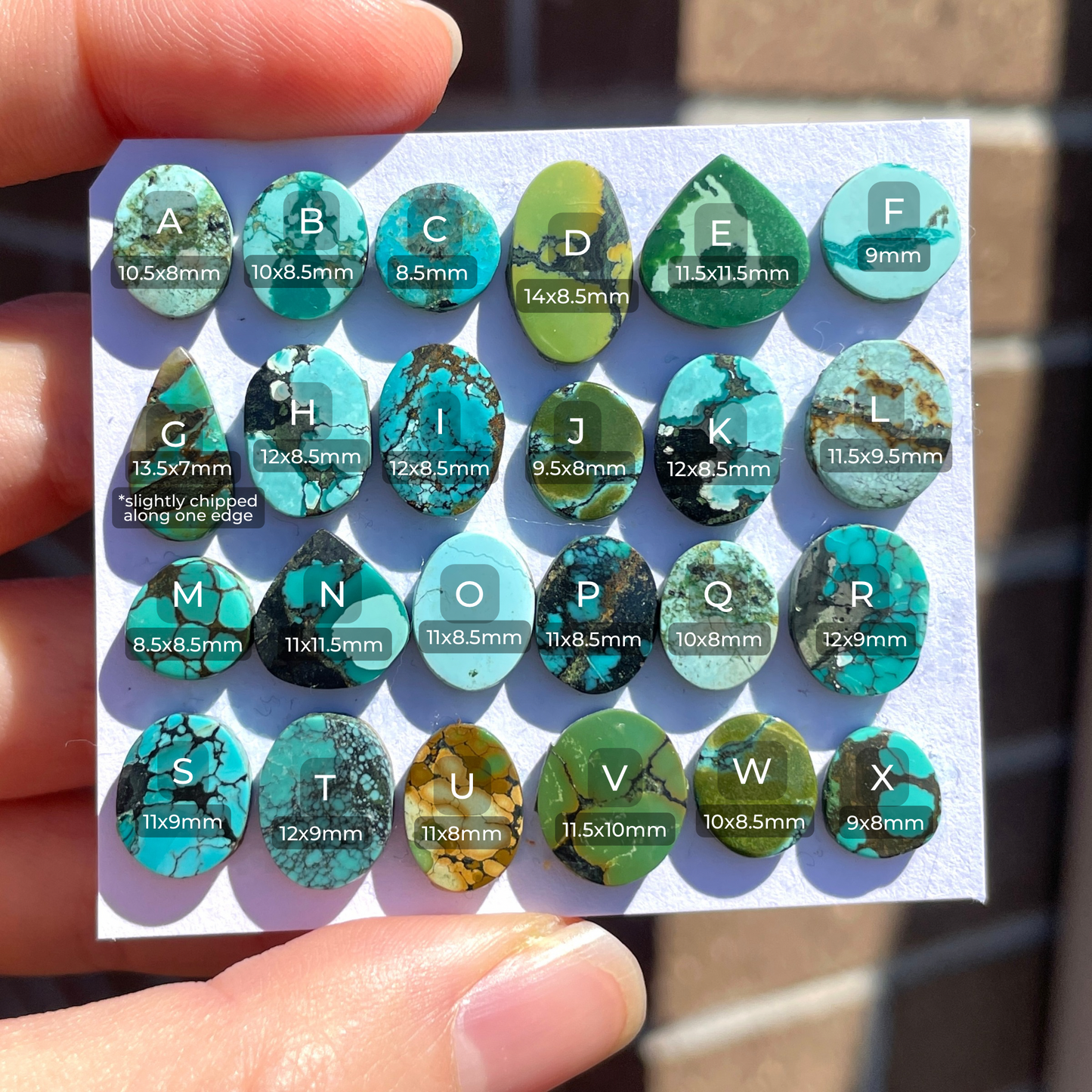 8-14mm Tibetan Turquoise Cabochon Smooth  - Choose your Stone (W6)