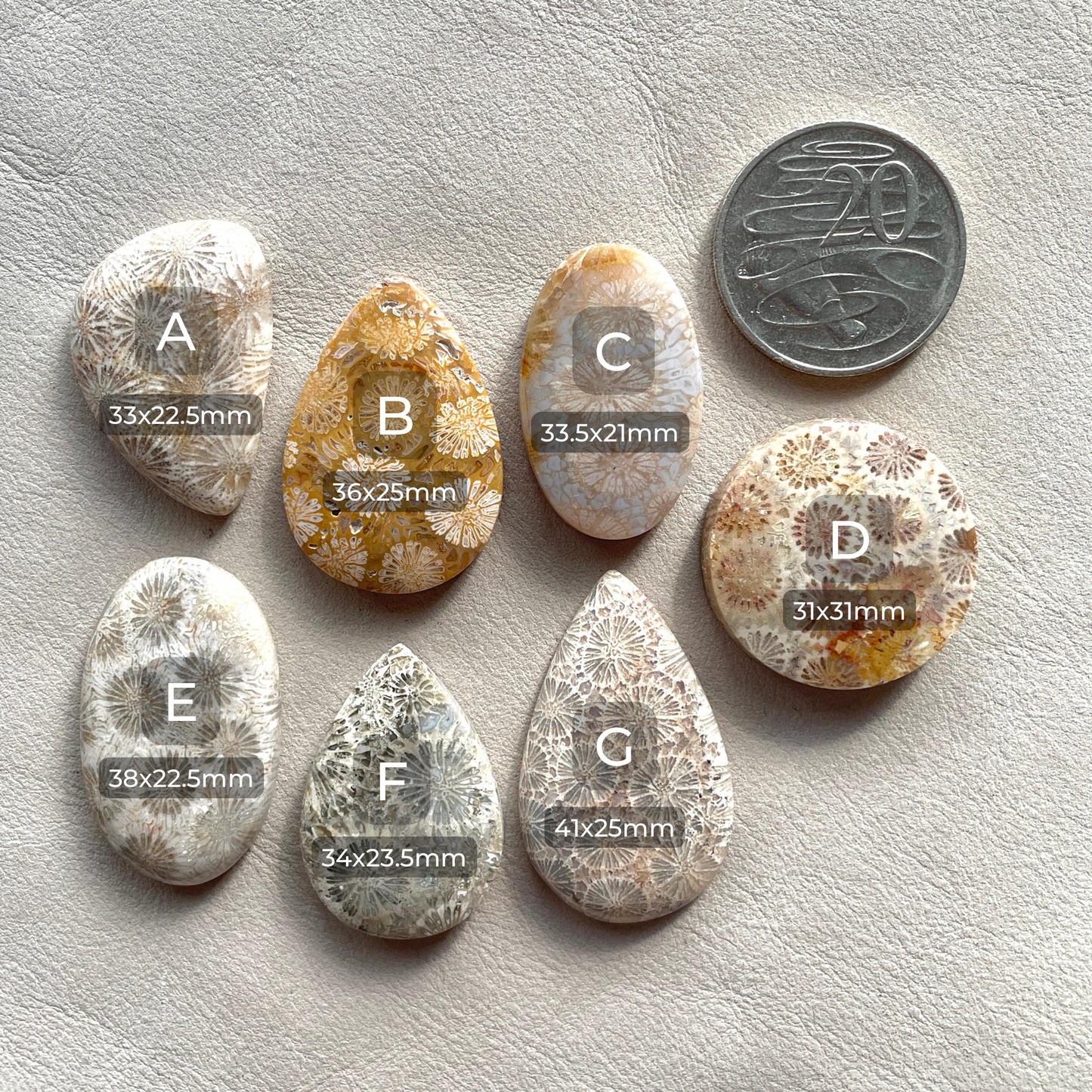 Fossil Coral Cabochon Smooth - Choose your Stone (W8)