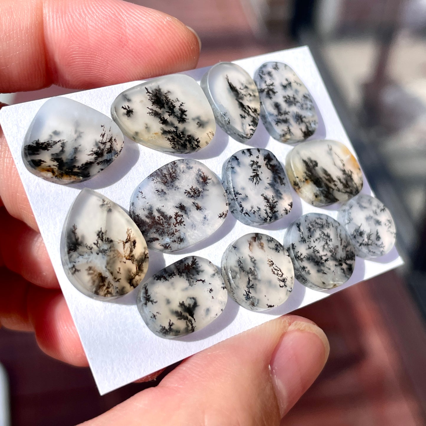 10-16mm Dendritic Opal Agate Cabochon Smooth - Choose your Stone (W5)