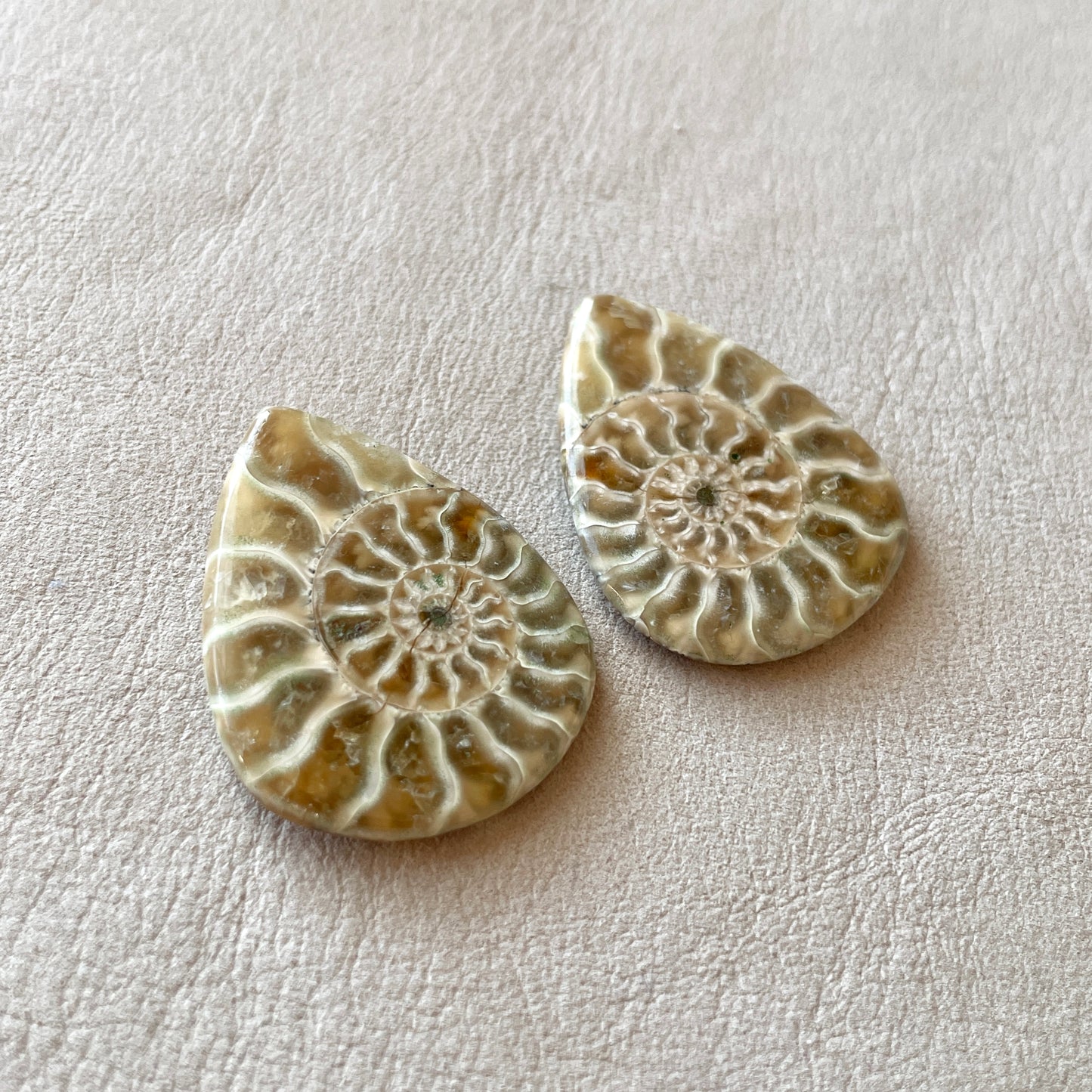 Ammonite Fossil Cabochon Pair (A)