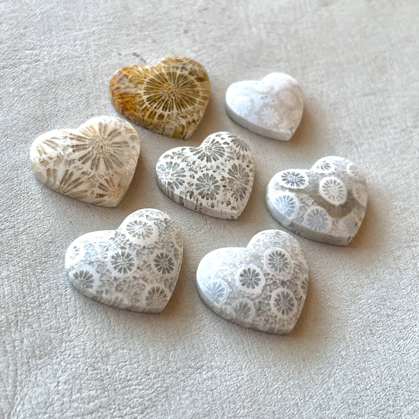 Fossilized (Fossil) Coral Heart Cabochon Smooth - Choose your Stone (W11)