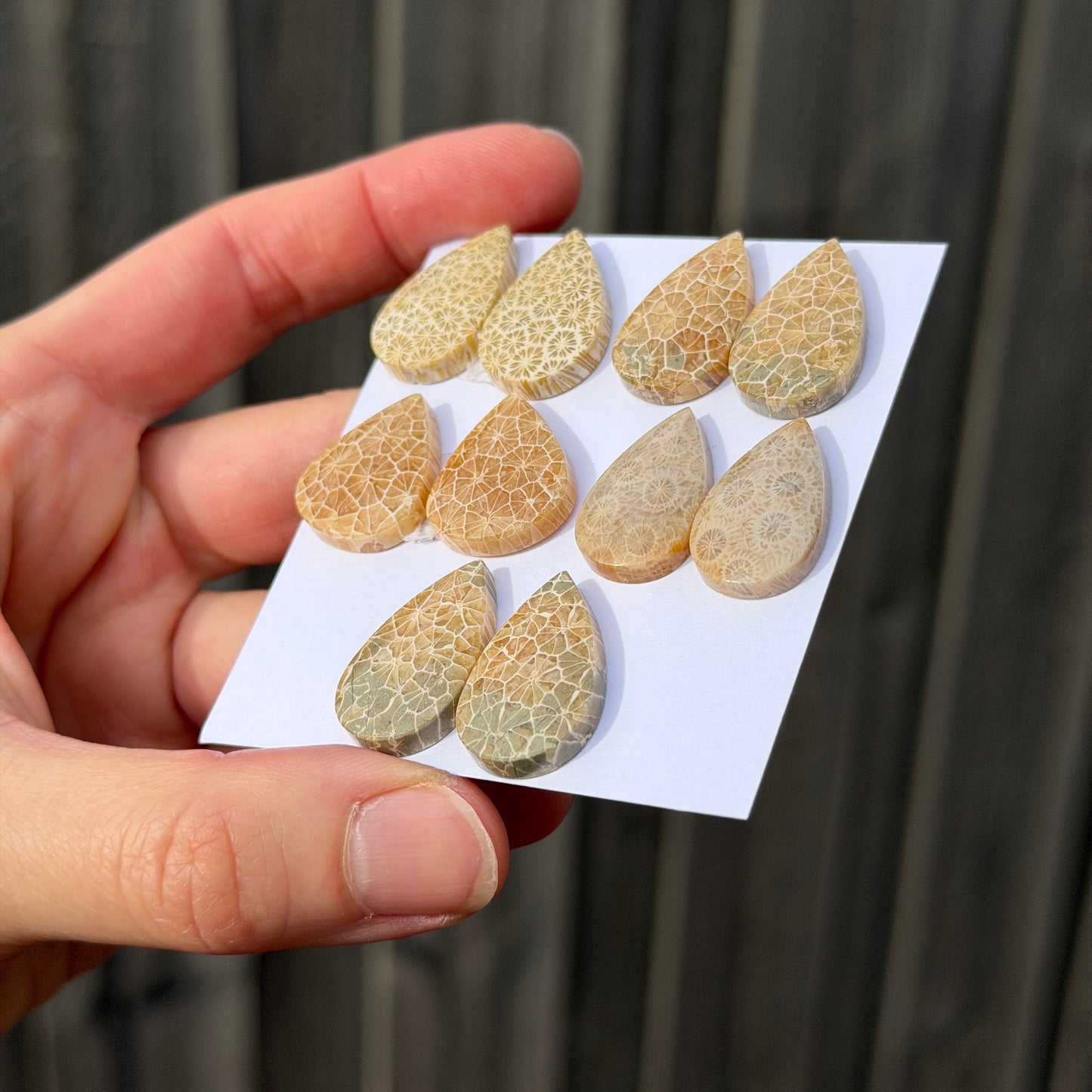 Fossil Coral Teardrop Cabochon Pairs - Choose your Pair (W15)