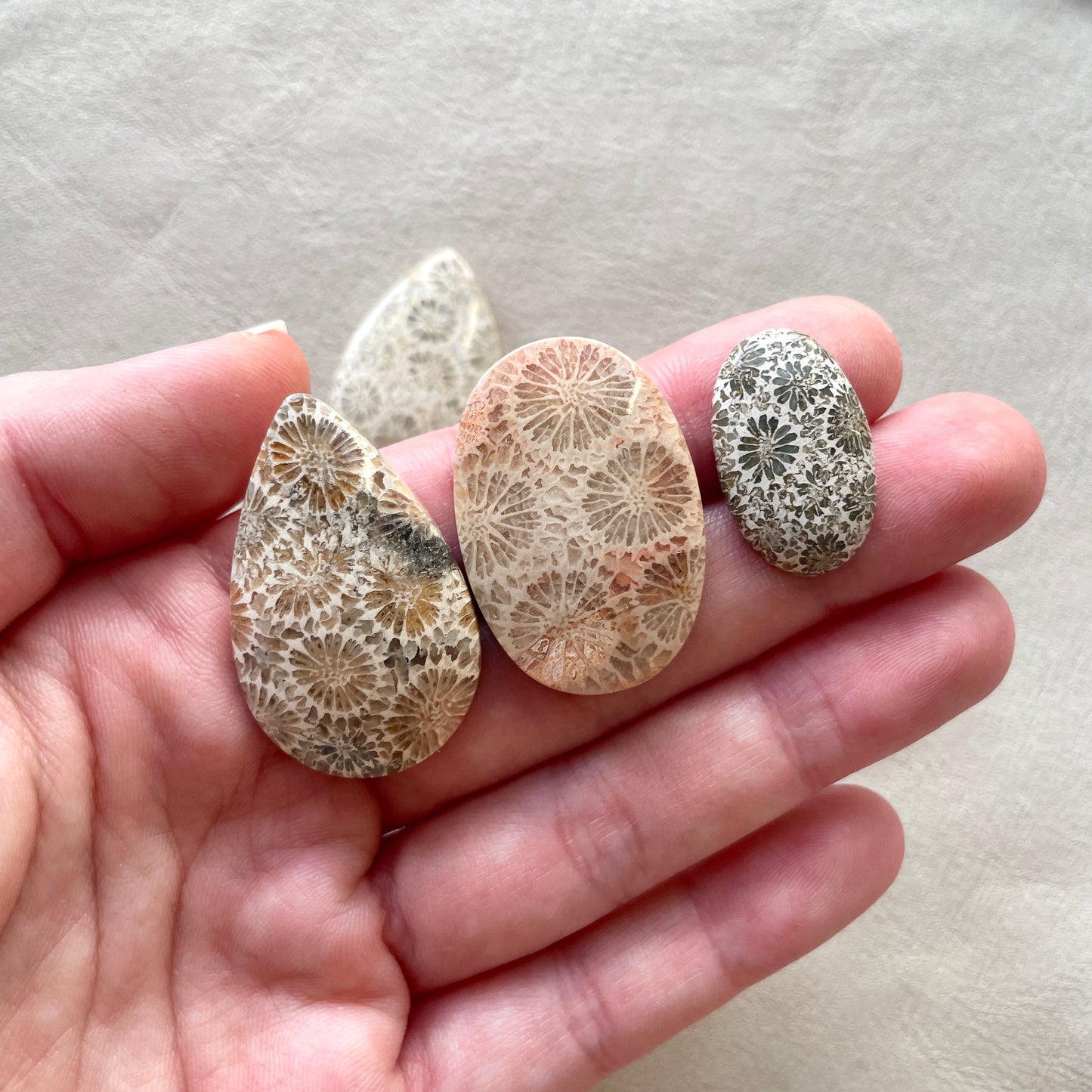 Fossil Coral Cabochon Smooth - Choose your Stone (W7)