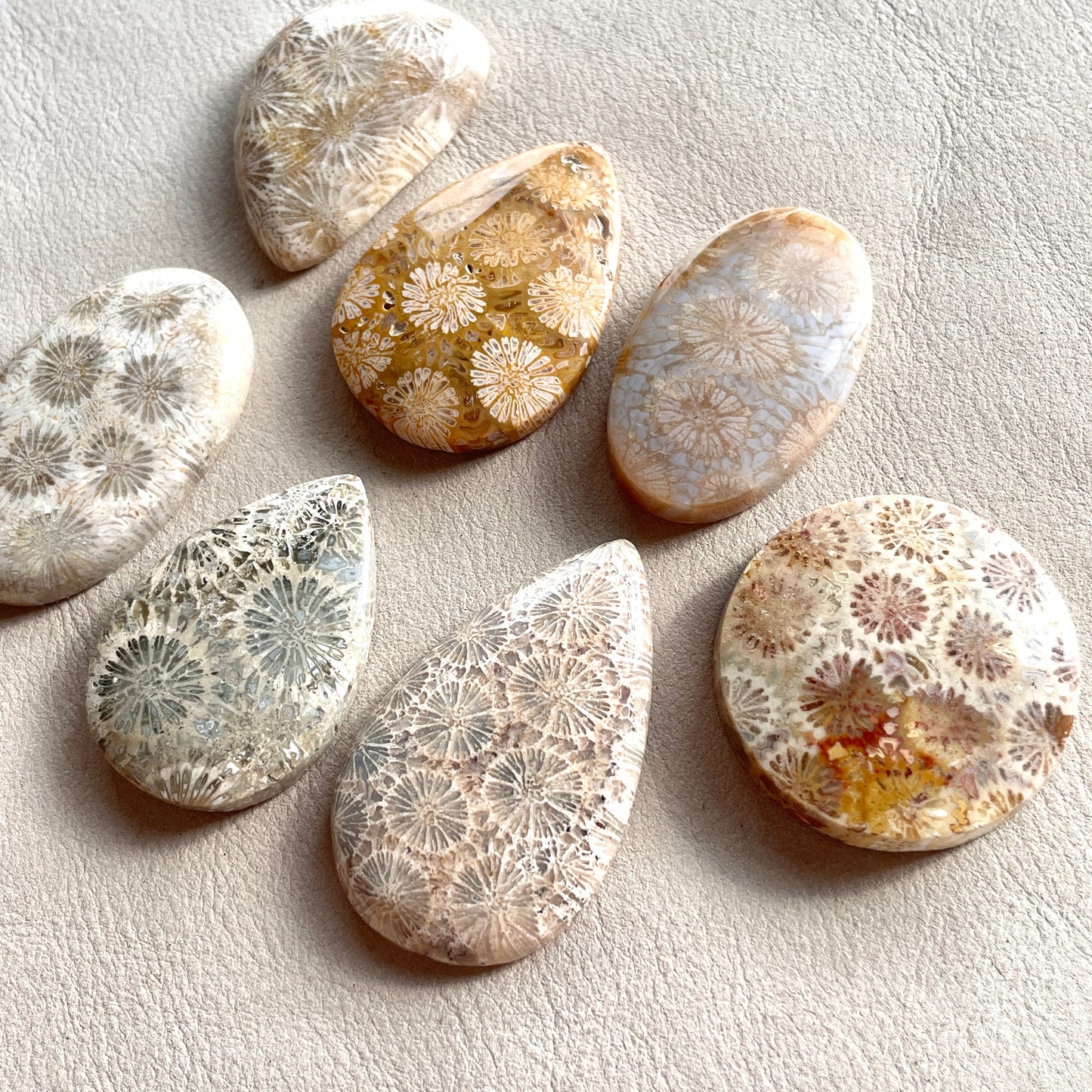 Fossil Coral Cabochon Smooth - Choose your Stone (W8)