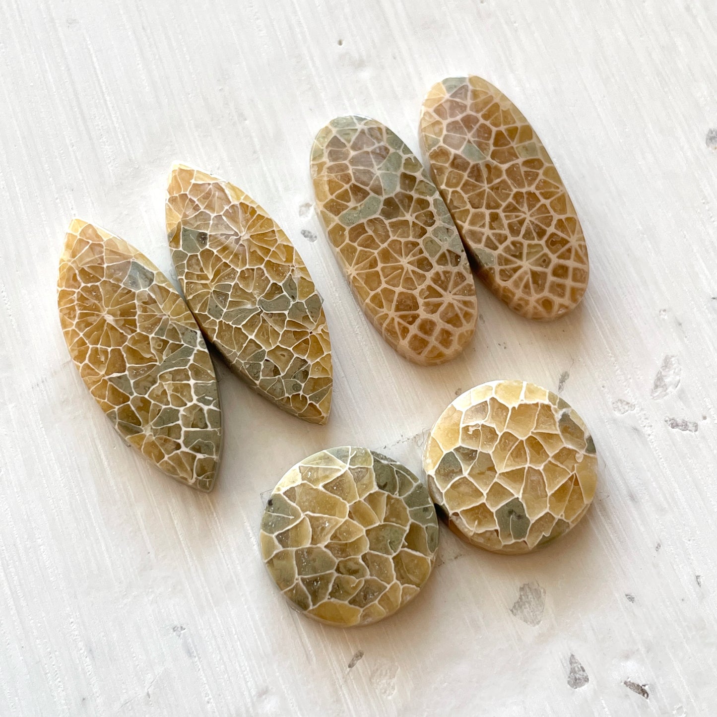 Honeycomb Fossil Coral Cabochon Pairs - Choose your Pair (W2)