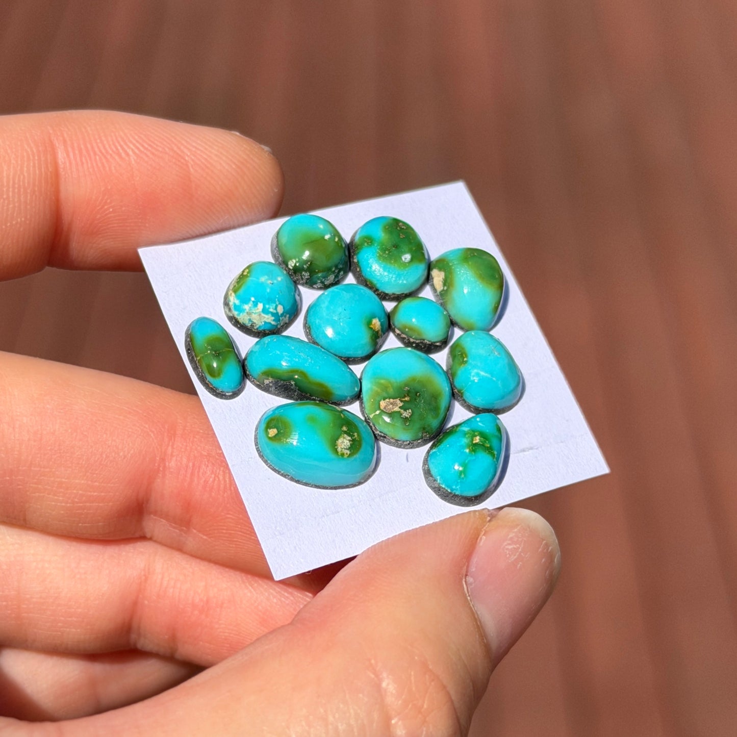 12pcs Sonoran Gold Turquoise Cabochons (Backed) Smooth - 6-12mm (FULL LOT) (W6)