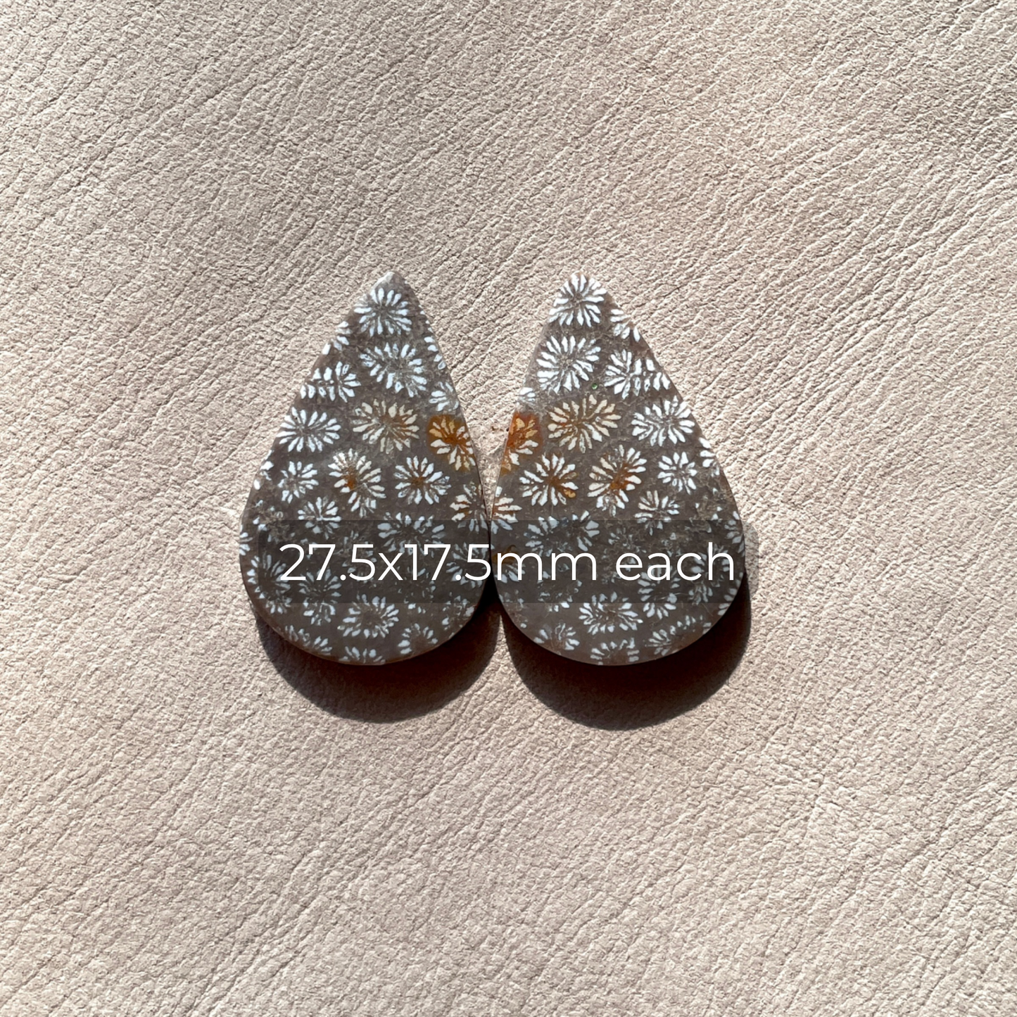Fossil Coral Teardrop Cabochon Pair - 27.5mm x 17.5mm (A) W1