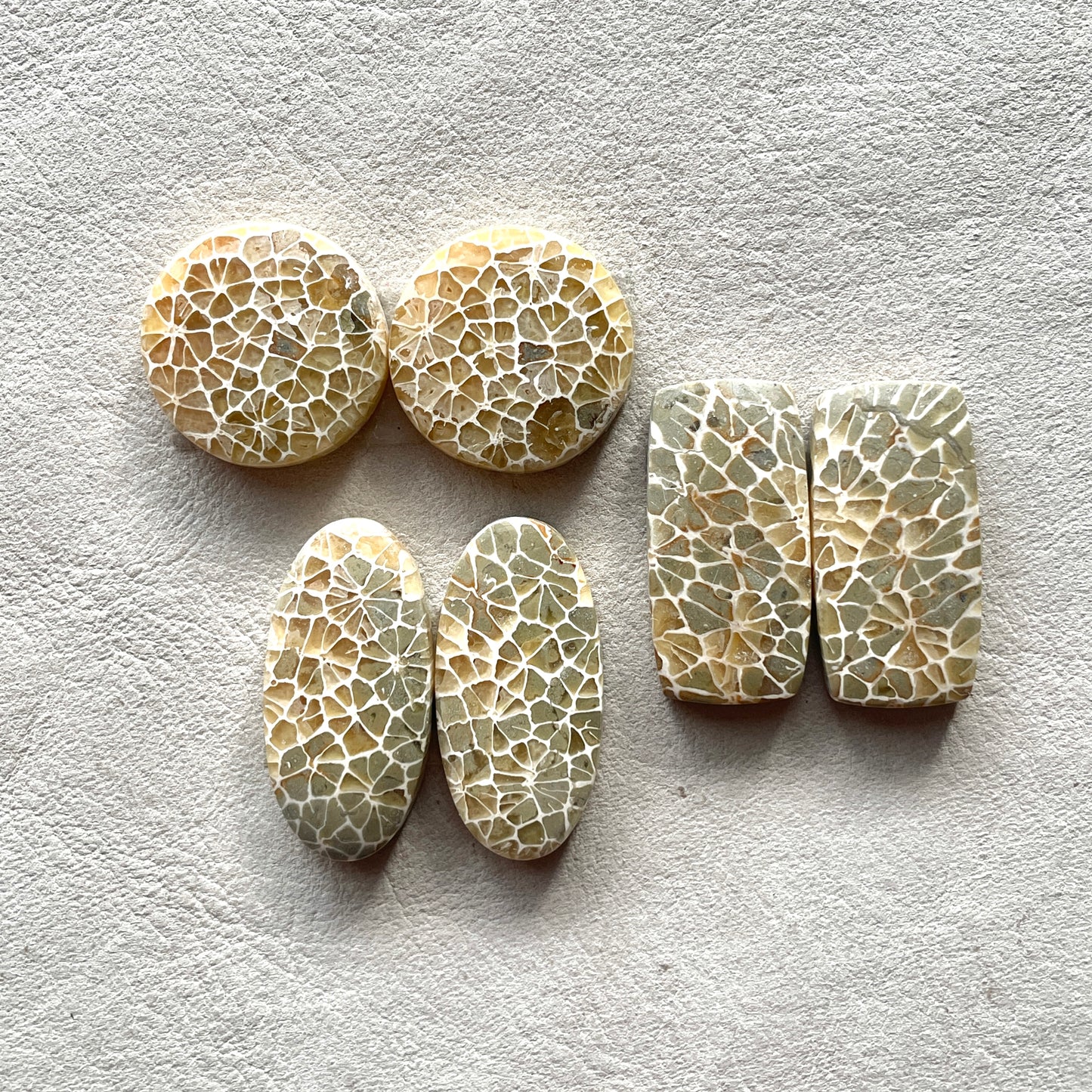 17-25mm Honeycomb Fossil Coral Cabochon Pairs - Choose your Pair (W5)