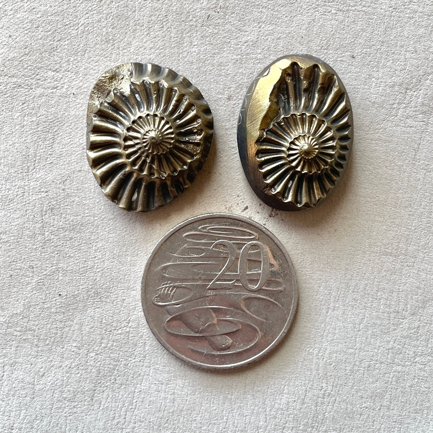 Pyritized Negative Ammonite Fossil Cabochon - Choose your Stone (W11)