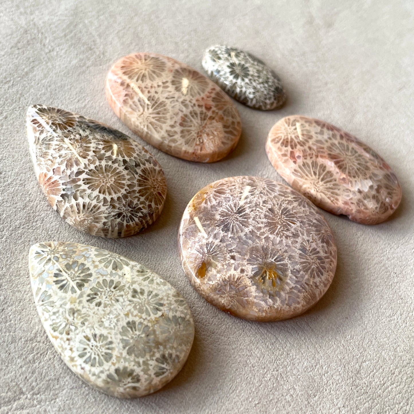 Fossil Coral Cabochon Smooth - Choose your Stone (W7)