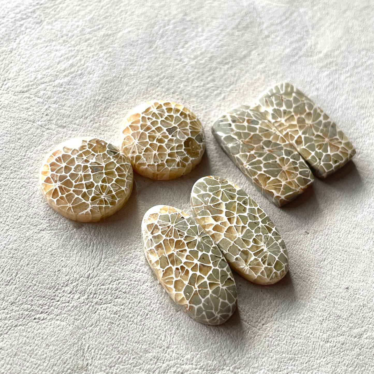 17-25mm Honeycomb Fossil Coral Cabochon Pairs - Choose your Pair (W5)
