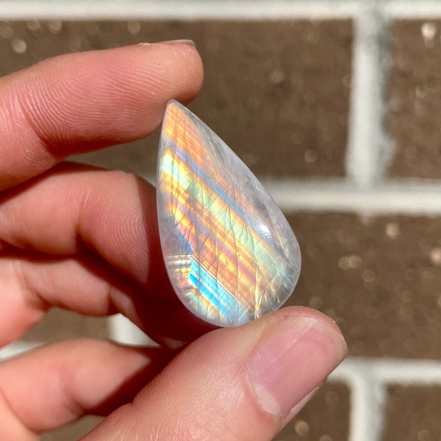 Rainbow Moonstone Teardrop Cabochon (F)