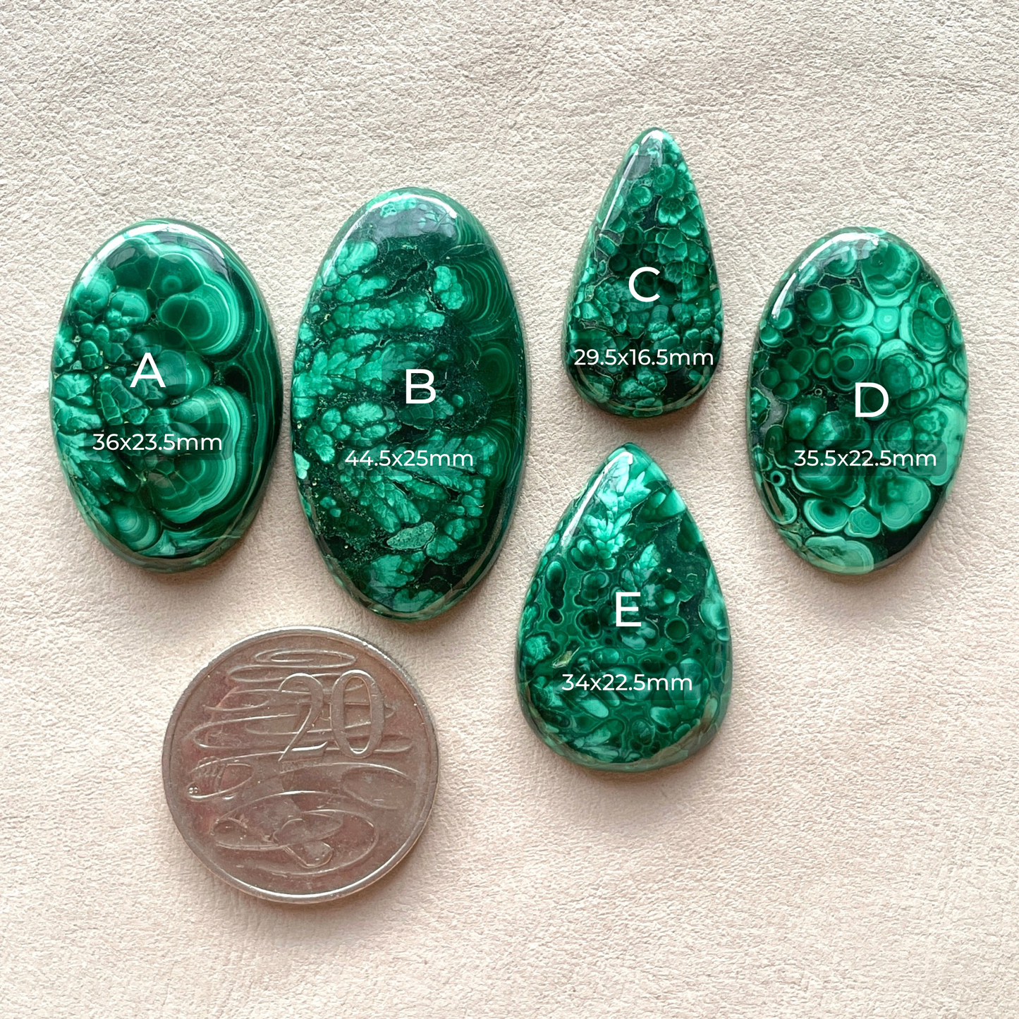 Flower Pattern ‘Blooms’ Malachite Cabochon Smooth - Choose your Stone (W7)