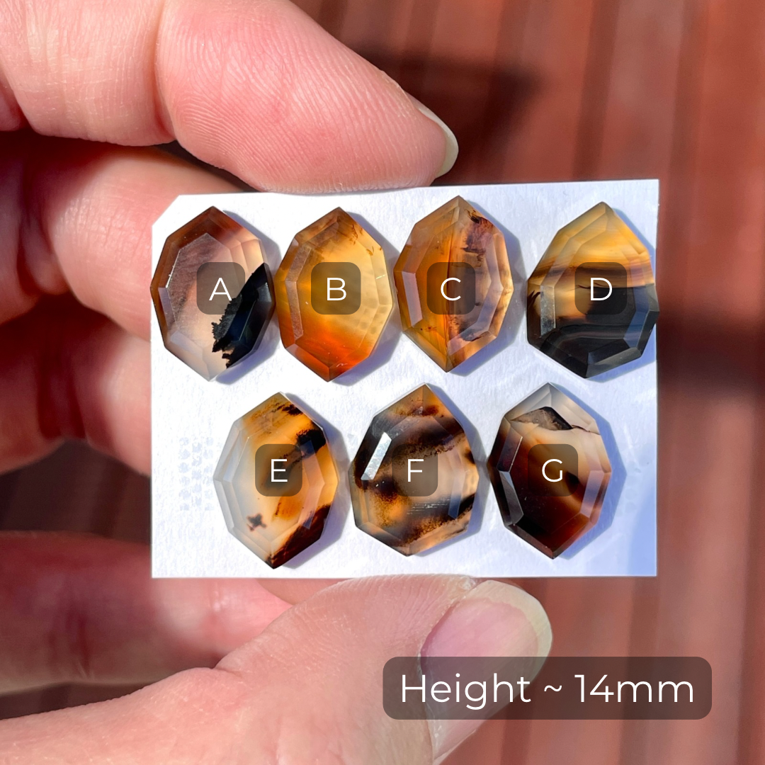 14mm Montana Agate Cabochon Step Cut - Choose your Stone (W8)