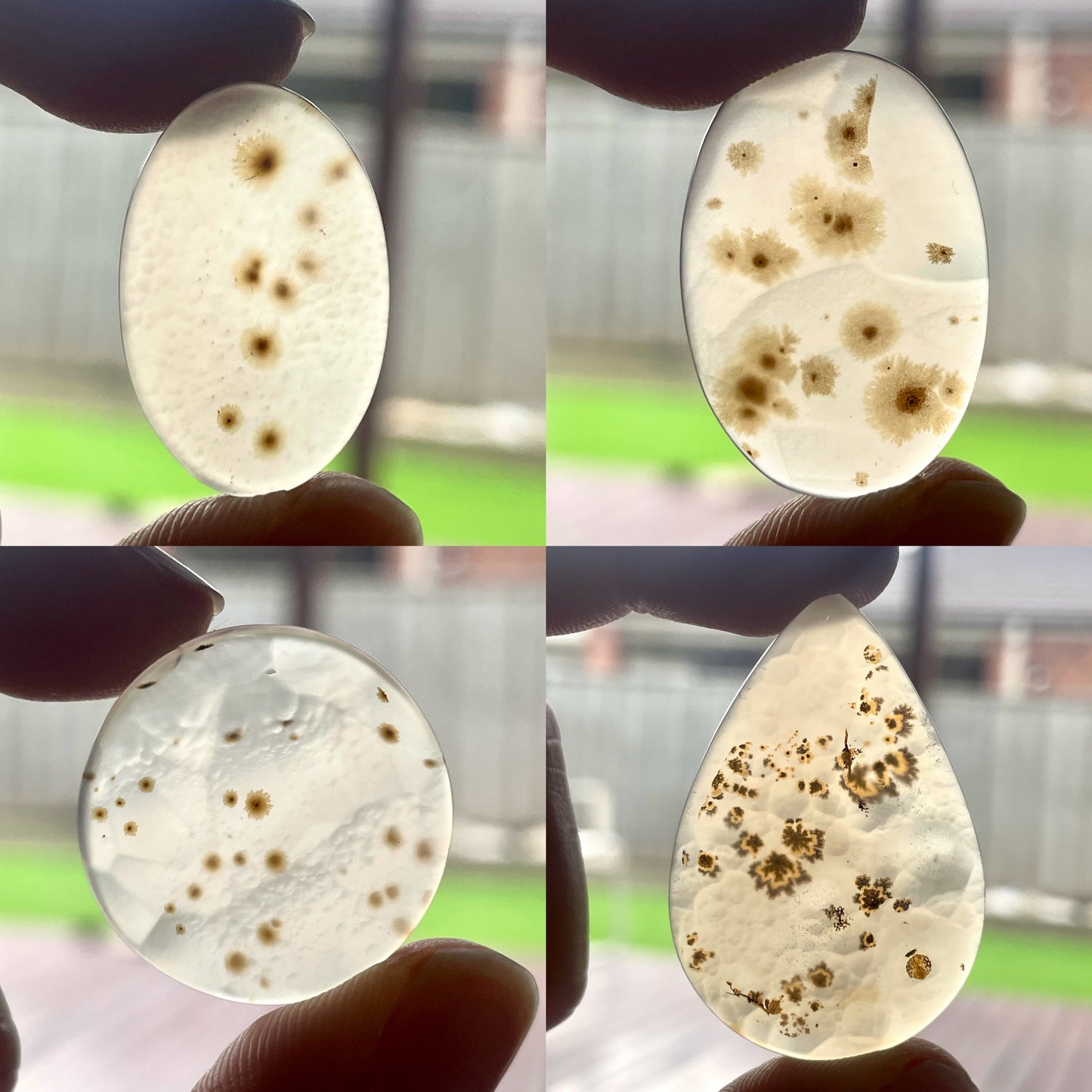 'Flower' Pattern Scenic Dendritic Agate Cabochon Smooth - Choose your Stone (W4)