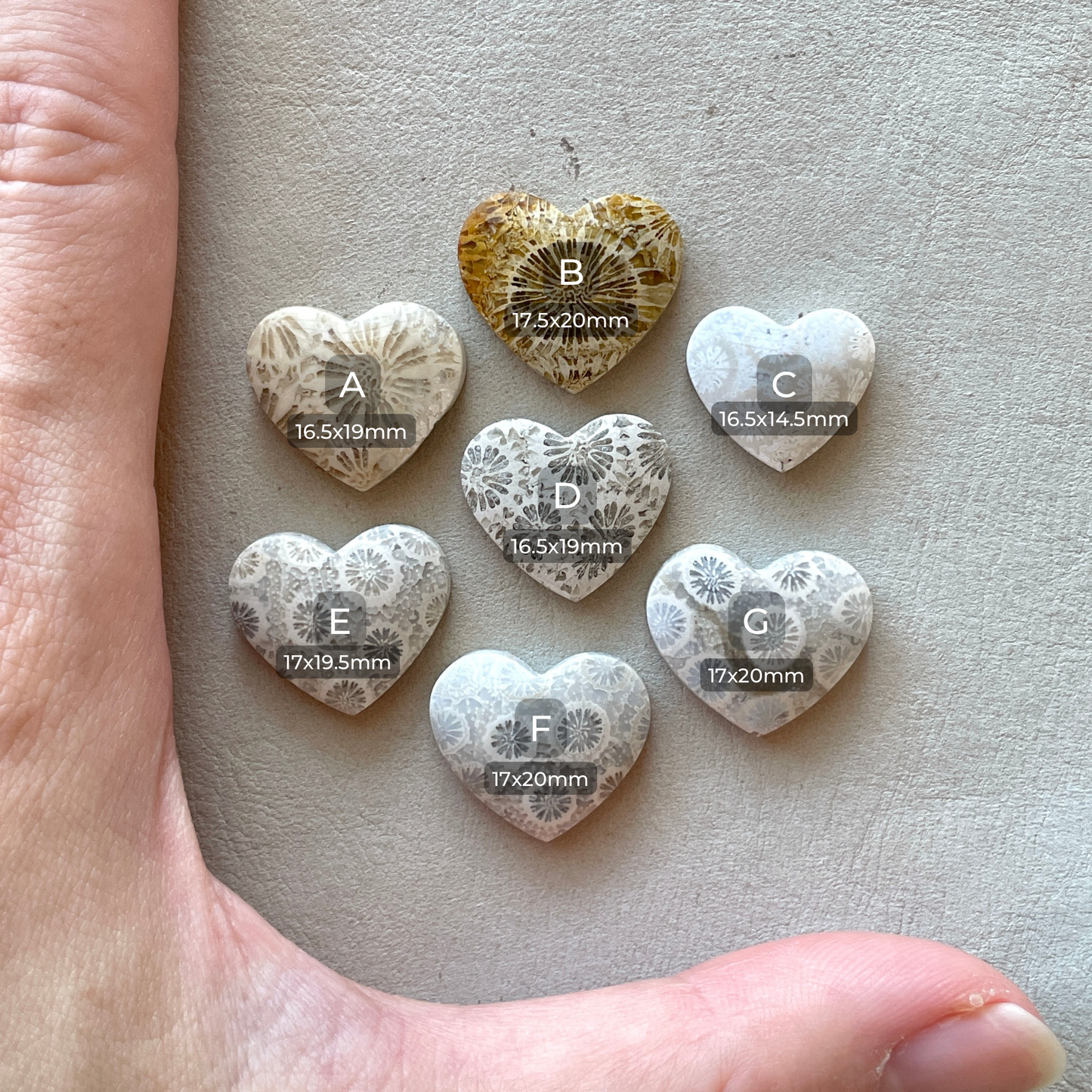 Fossilized (Fossil) Coral Heart Cabochon Smooth - Choose your Stone (W11)