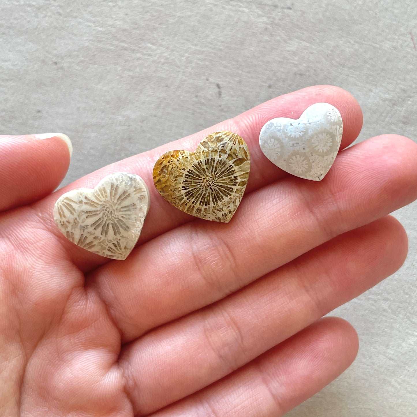 Fossilized (Fossil) Coral Heart Cabochon Smooth - Choose your Stone (W11)