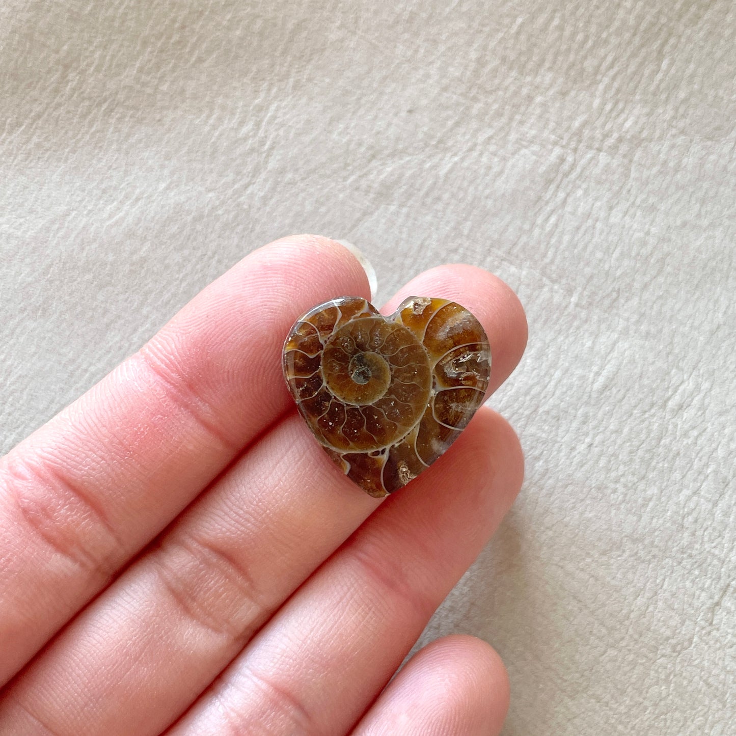 Ammonite Fossil Heart Cabochon