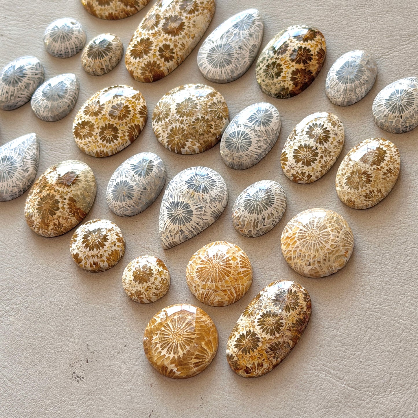 Beige/Cream/Grey Fossil Coral Cabochon Smooth - Choose your Stone (W12)