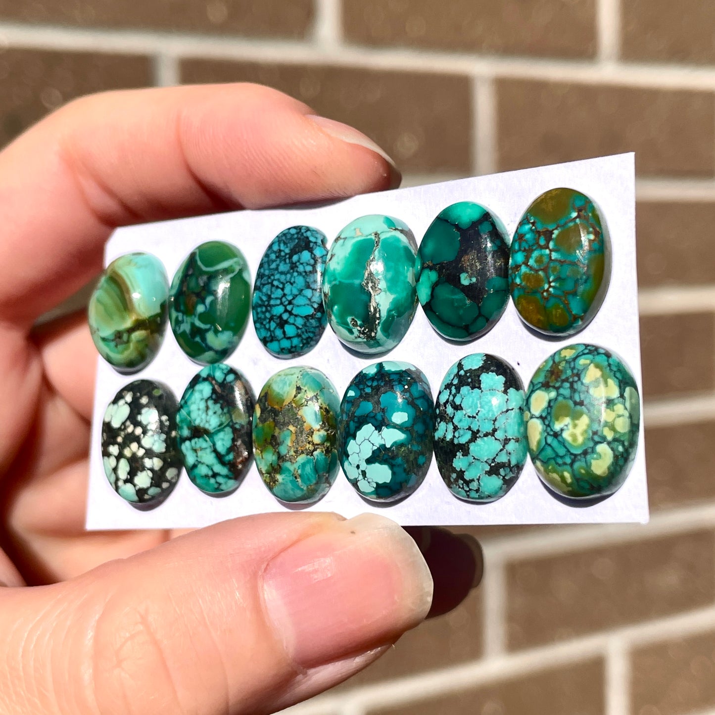 Tibetan Turquoise Oval Cabochon Smooth (14x10mm) - Choose your Stone (W8)