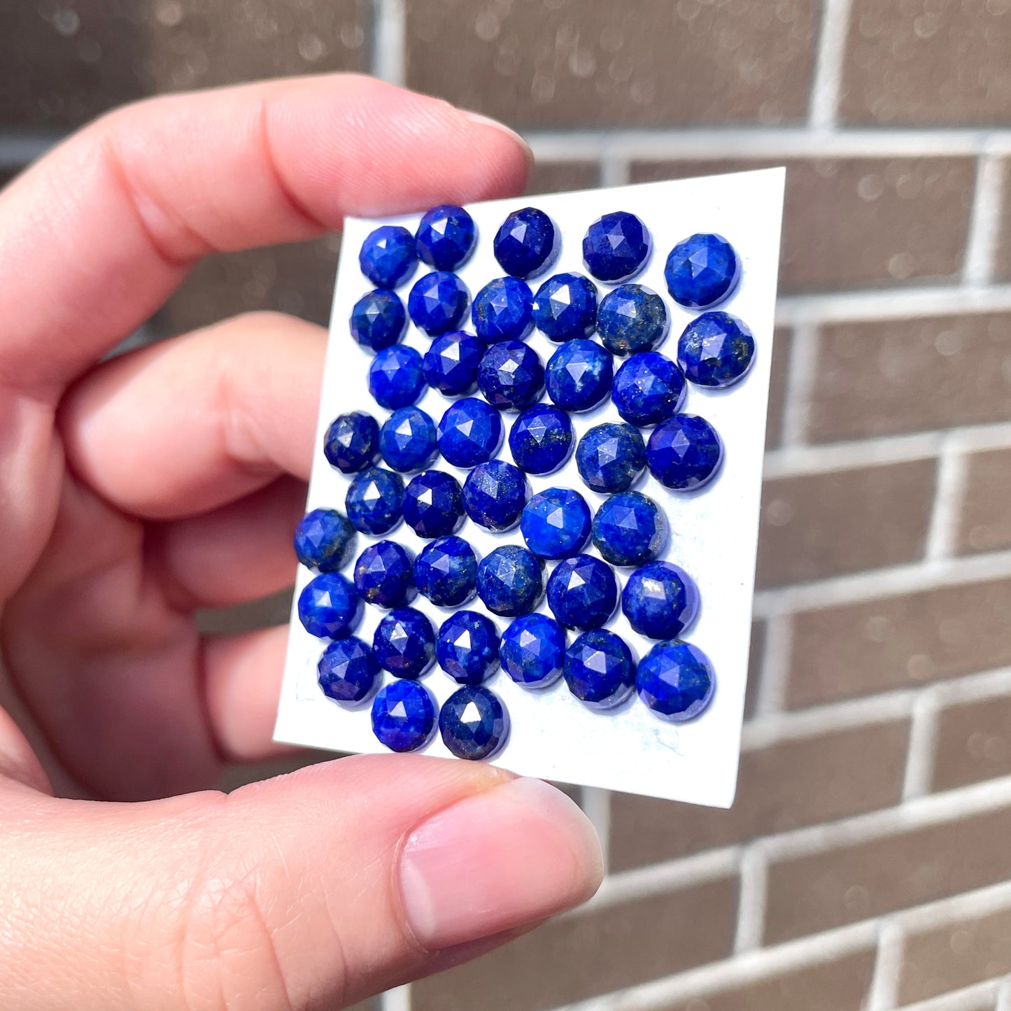 6mm Lapis Lazuli Cabochons Rosecut Round - Set of 3 (E13)