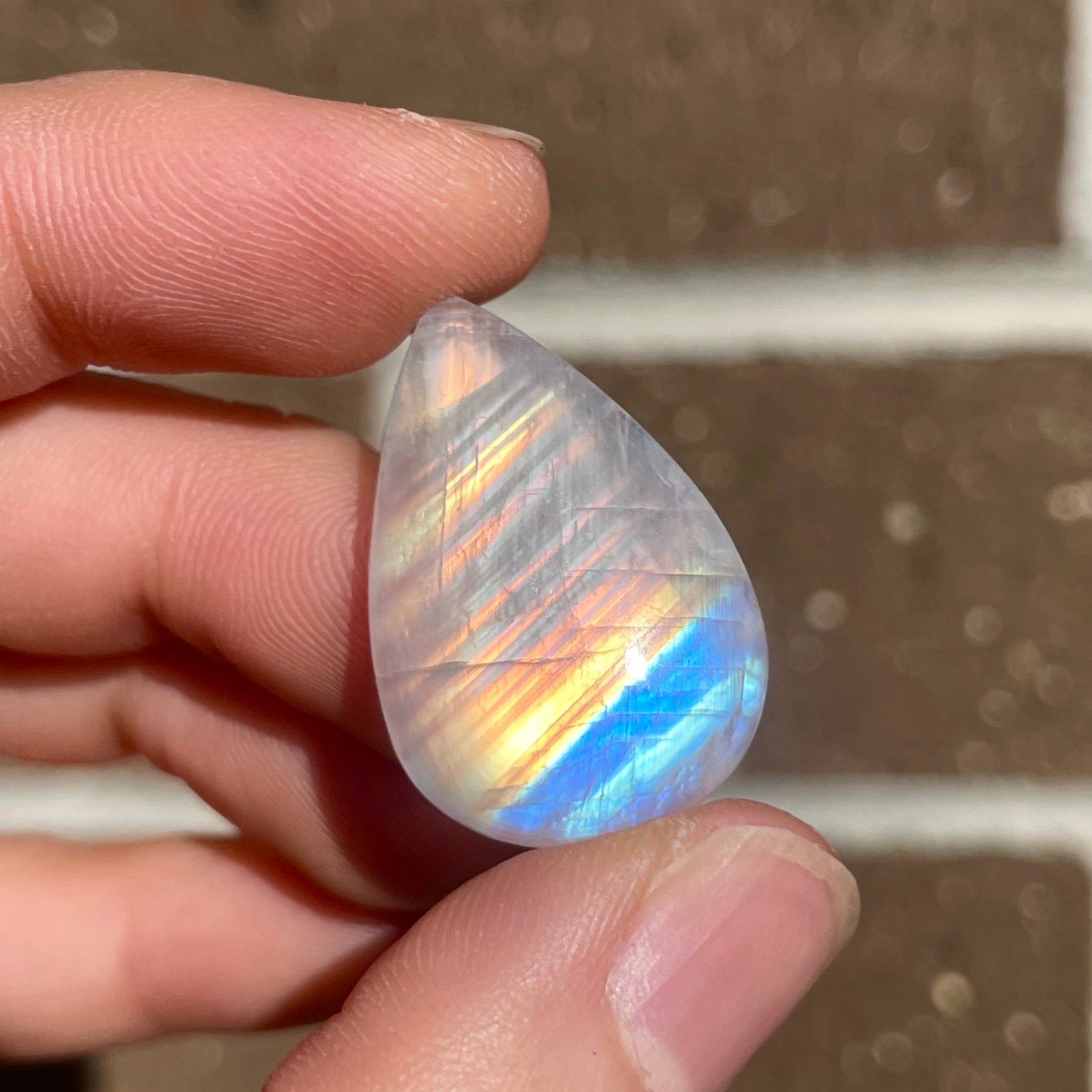 Rainbow Moonstone Teardrop Cabochon (D) W3