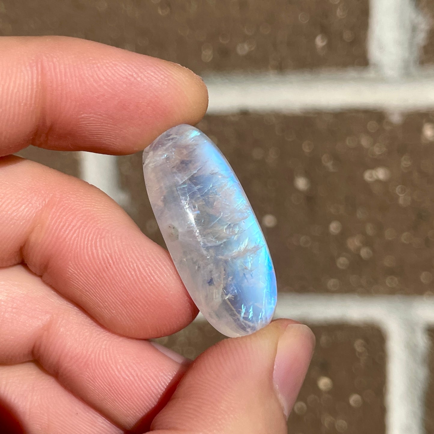 Rainbow Moonstone Oval Cabochon (E)
