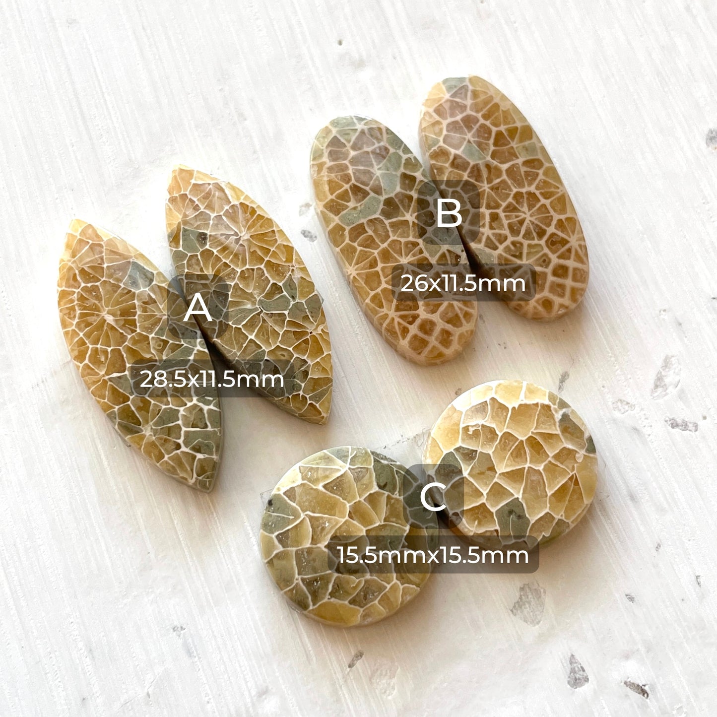 Honeycomb Fossil Coral Cabochon Pairs - Choose your Pair (W2)