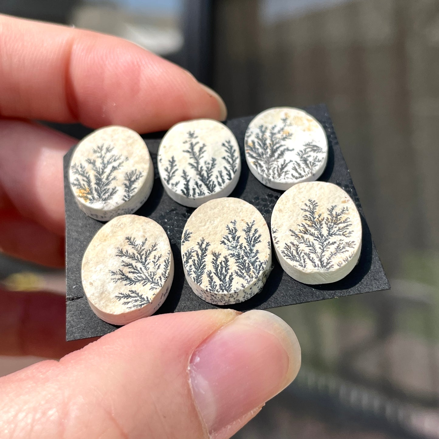 16mm Psilomelane Dendritic Limestone Oval Cabochon Raw-Face - Choose your Stone (W11)