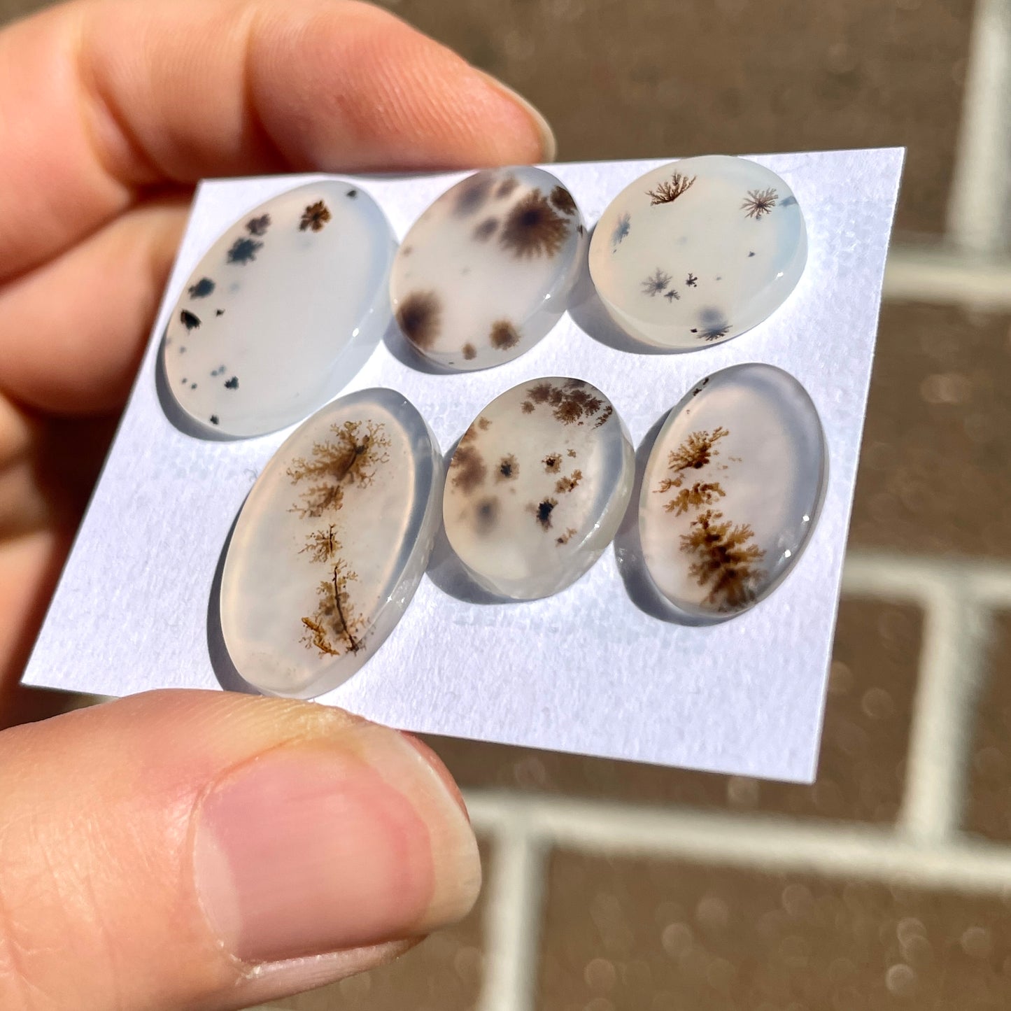 13-22mm Scenic Dendritic Agate Cabochon Smooth - Choose your Stone (E)