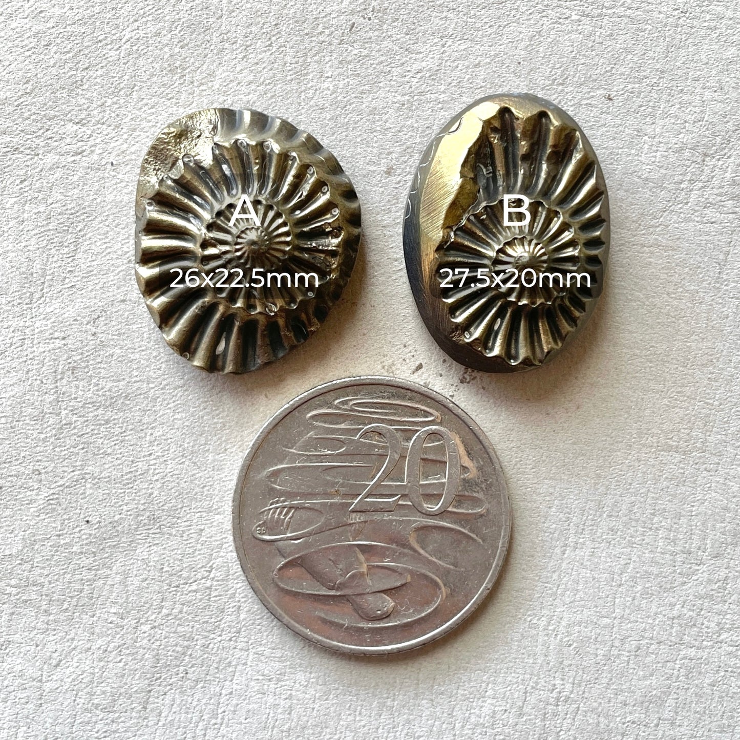 Pyritized Negative Ammonite Fossil Cabochon - Choose your Stone (W11)