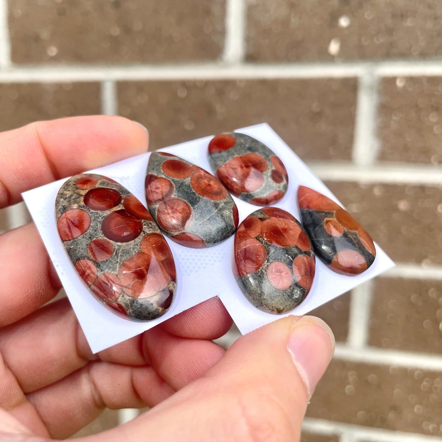 Peanut Obsidian Cabochon Smooth - Choose your Stone (A-W4)