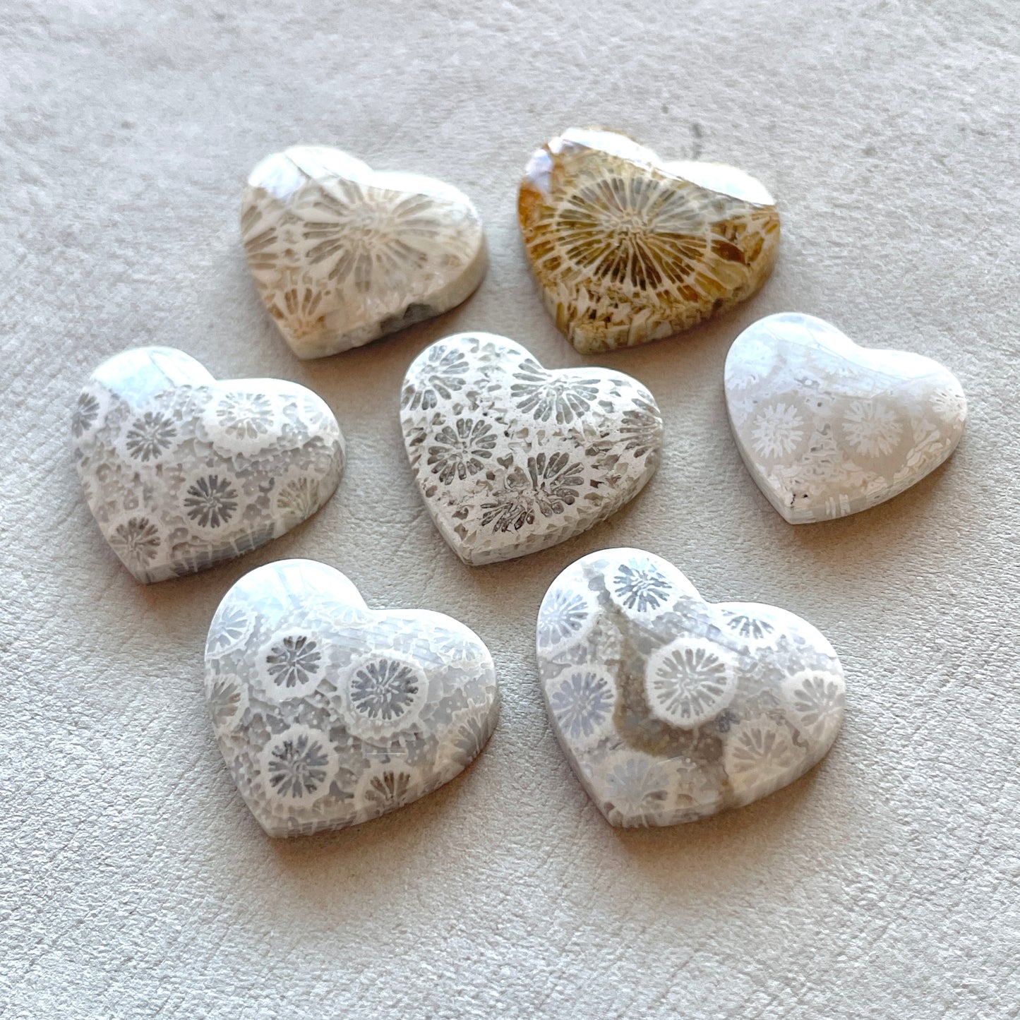 Fossilized (Fossil) Coral Heart Cabochon Smooth - Choose your Stone (W11)