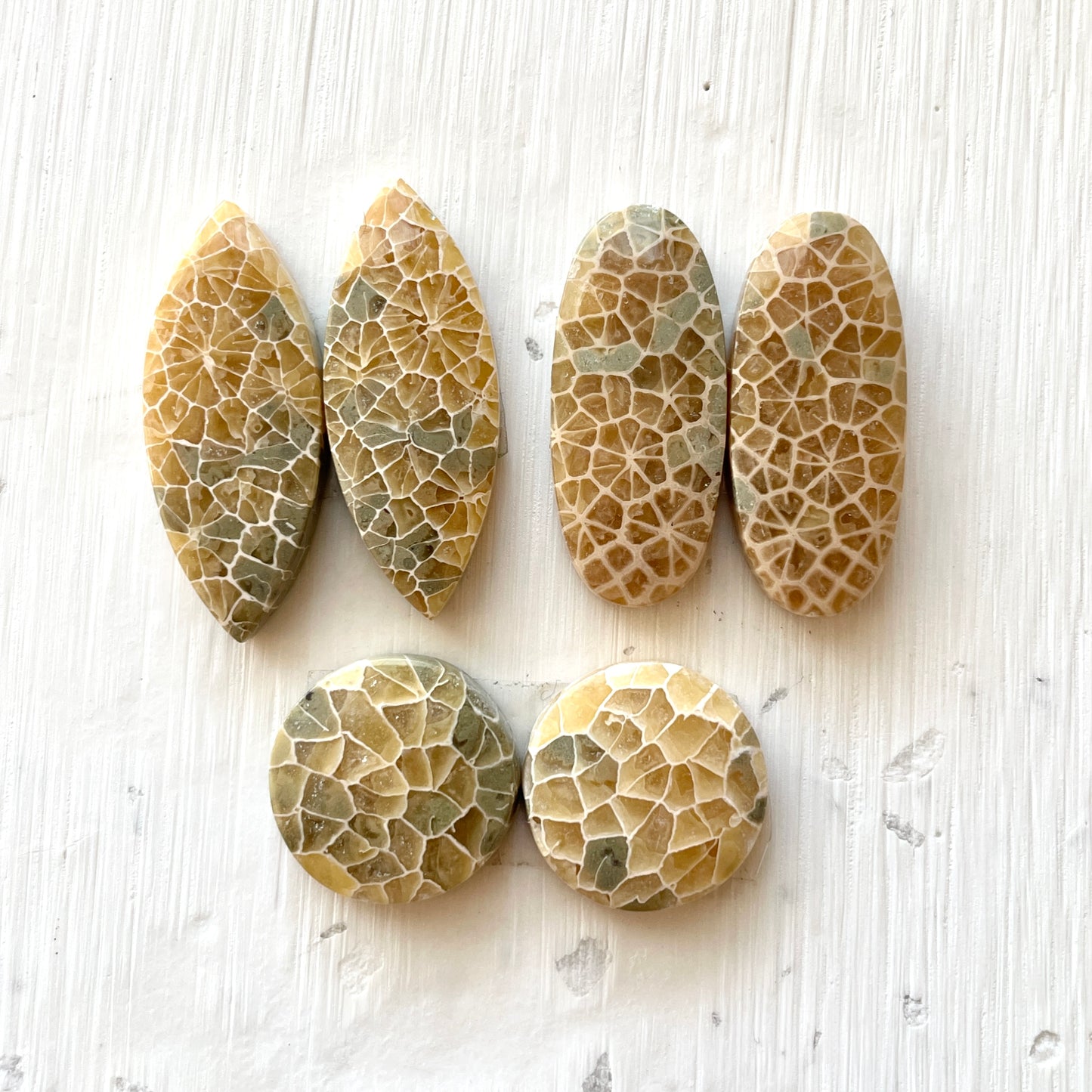Honeycomb Fossil Coral Cabochon Pairs - Choose your Pair (W2)
