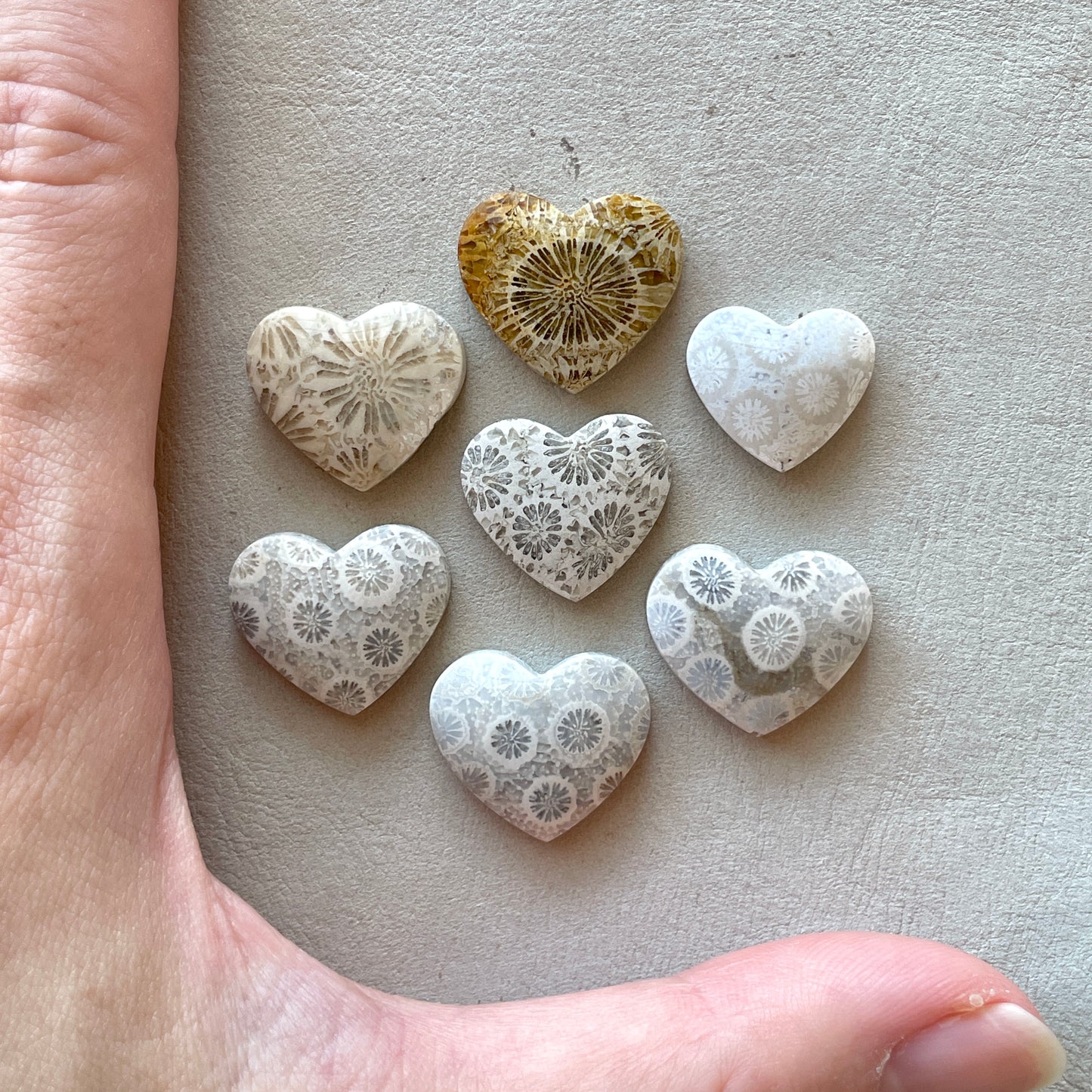 Fossilized (Fossil) Coral Heart Cabochon Smooth - Choose your Stone (W11)