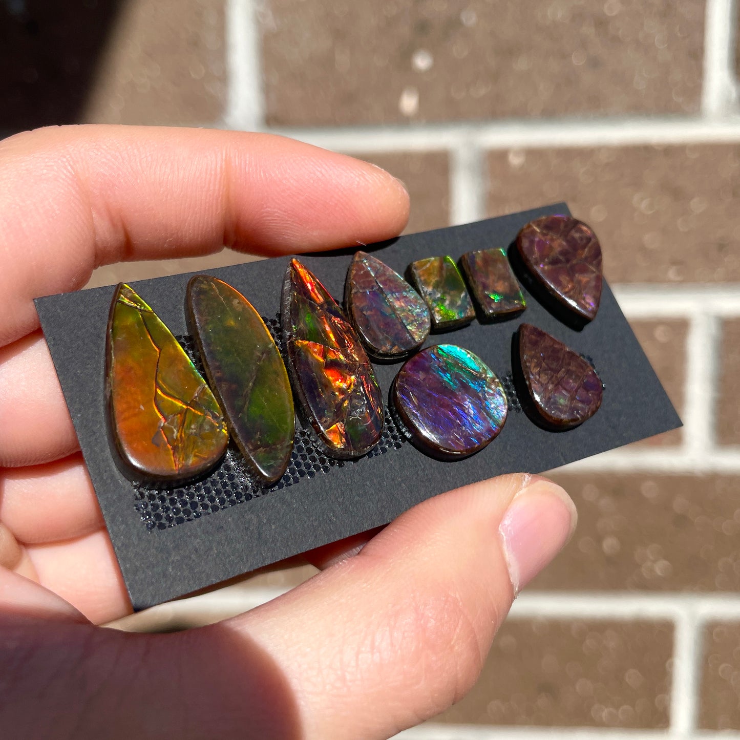 Canadian Ammolite Cabochon Smooth - Choose your Stone (B) W4