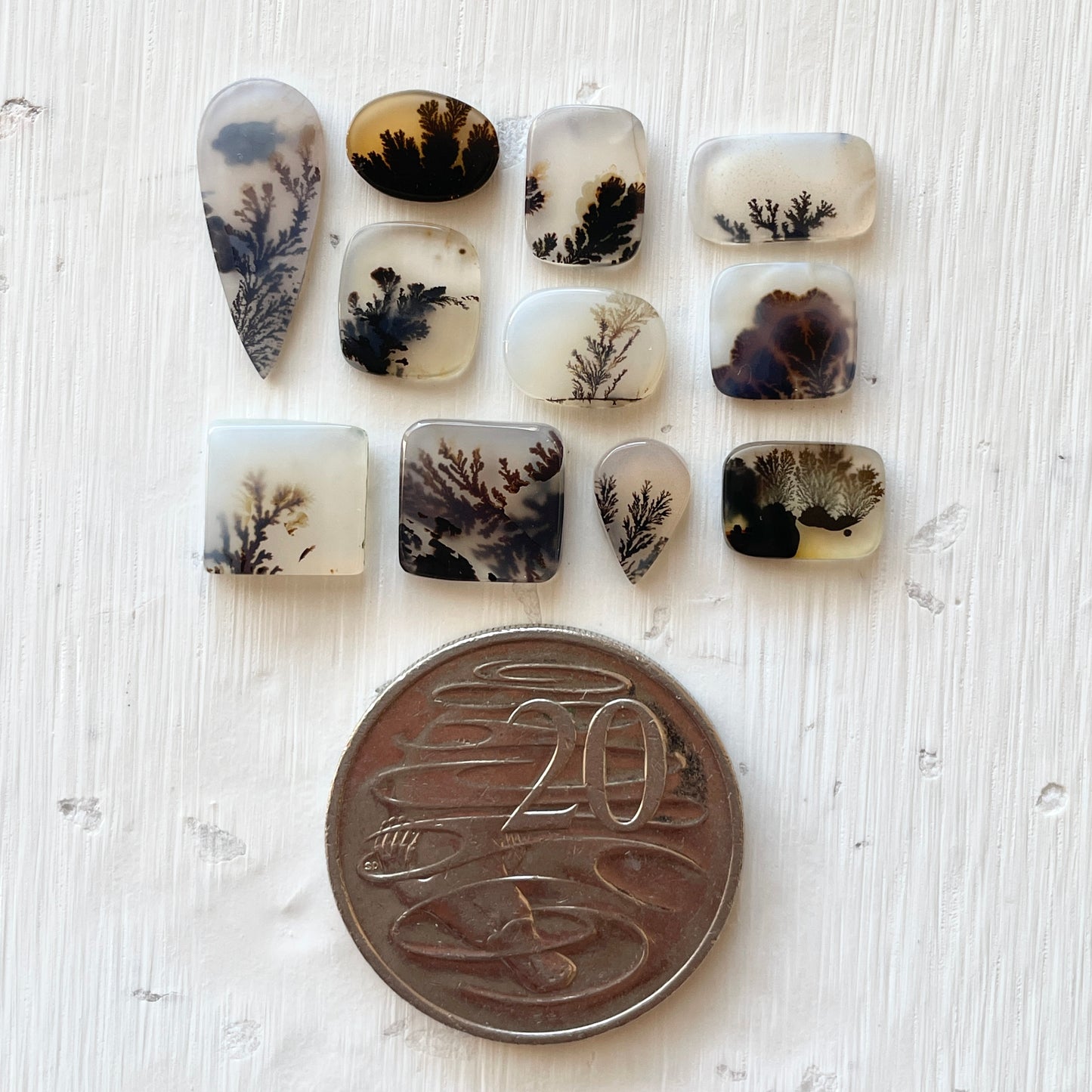 8-20mm Scenic Dendritic Agate Cabochon Smooth - Choose your Stone (A)