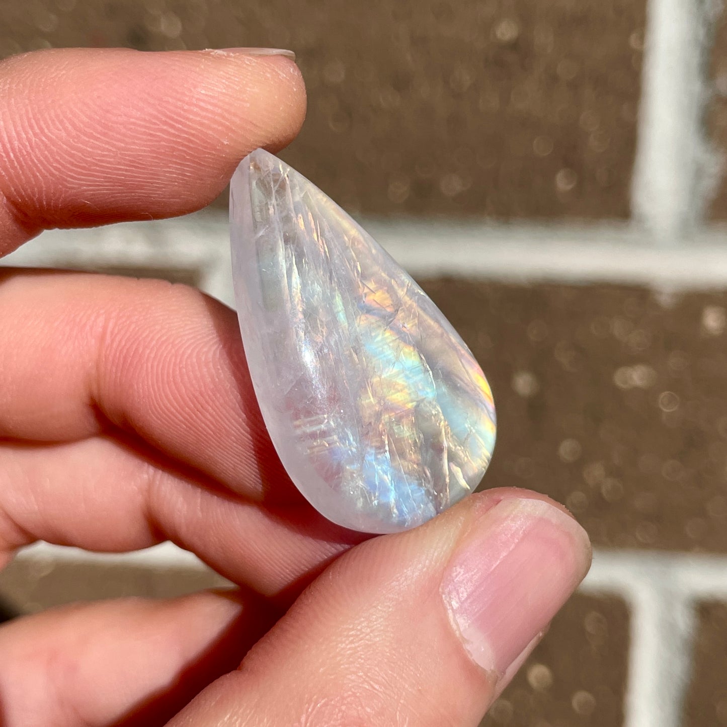 Rainbow Moonstone Teardrop Cabochon (F)
