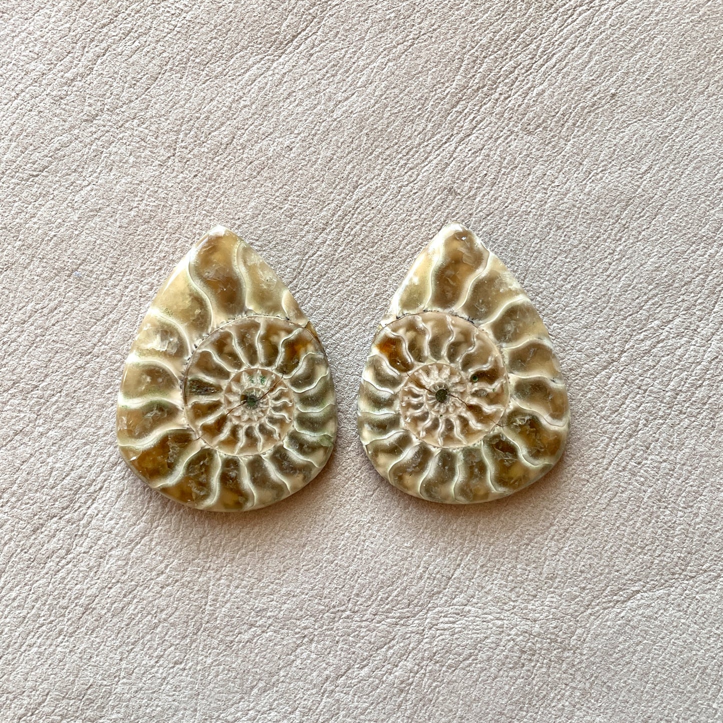 Ammonite Fossil Cabochon Pair (A)