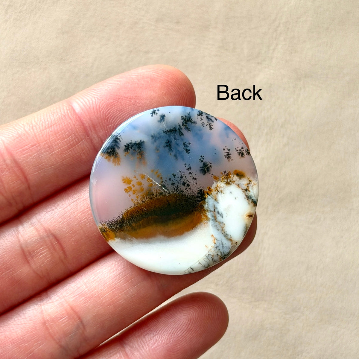 ‘Winter Canopy' Dendritic Opal Agate Round Cabochon - 33.5mm (W16)