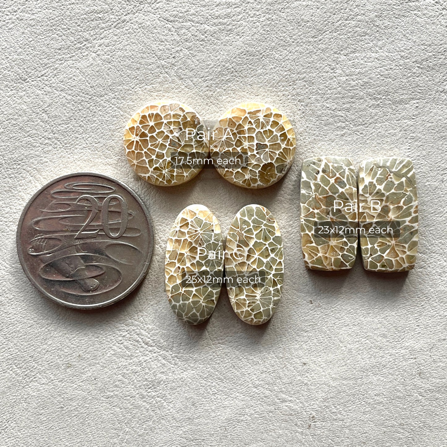 17-25mm Honeycomb Fossil Coral Cabochon Pairs - Choose your Pair (W5)